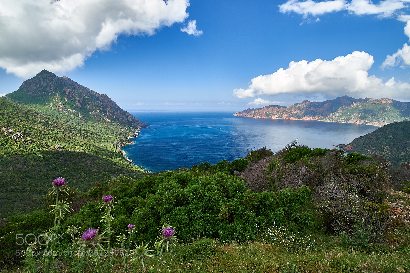 Olympus OM-D E-M10 sample photo. Girolata gulf photography