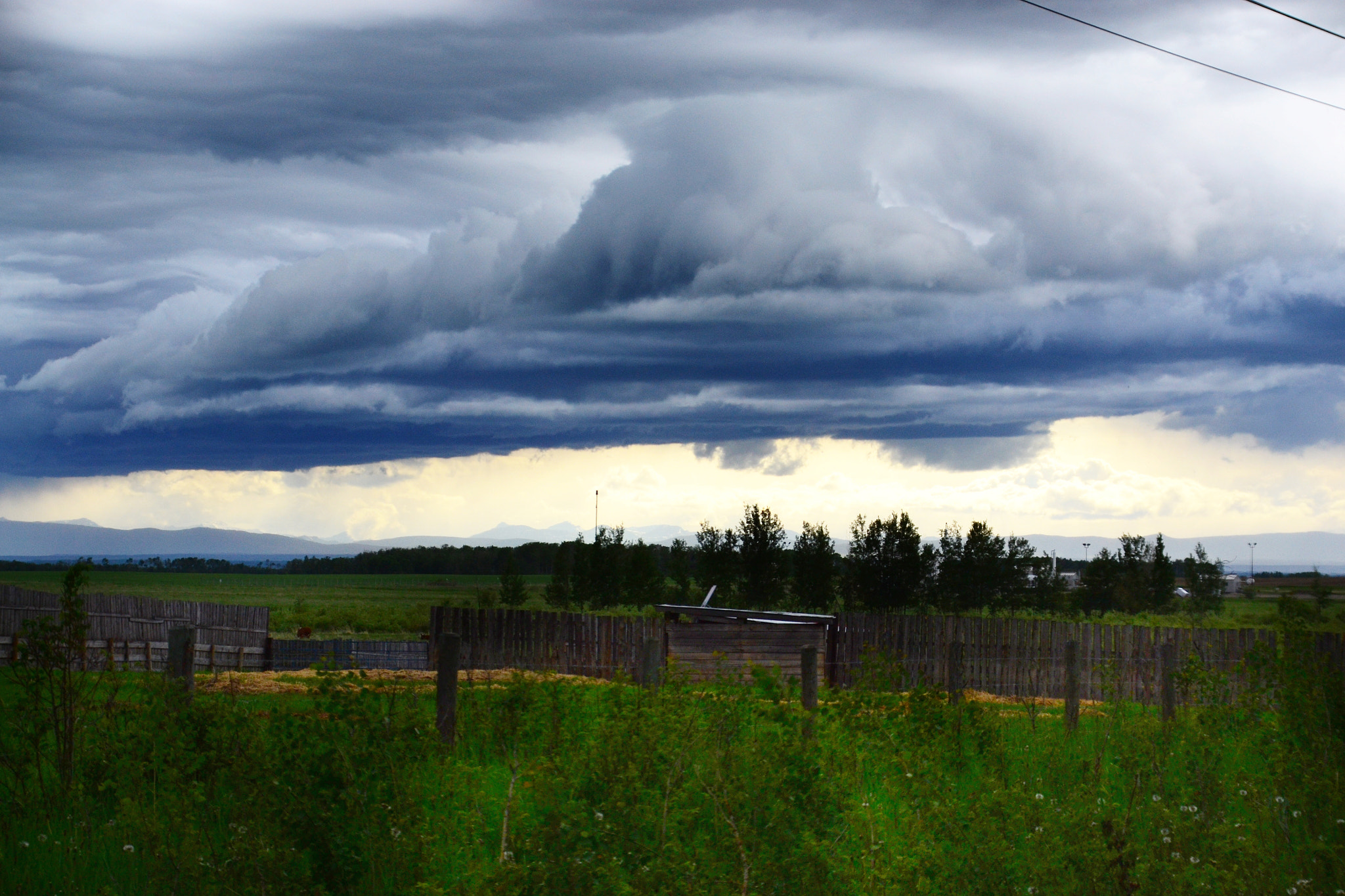 Sigma 18-200mm F3.5-6.3 DC OS HSM sample photo. Cow pasture with storm clouds, june 2018 photography