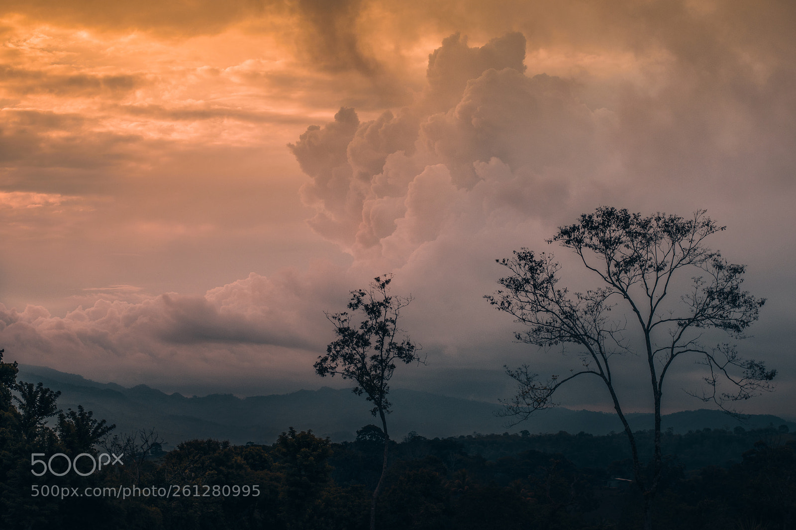 Nikon D5300 sample photo. Sunset photography