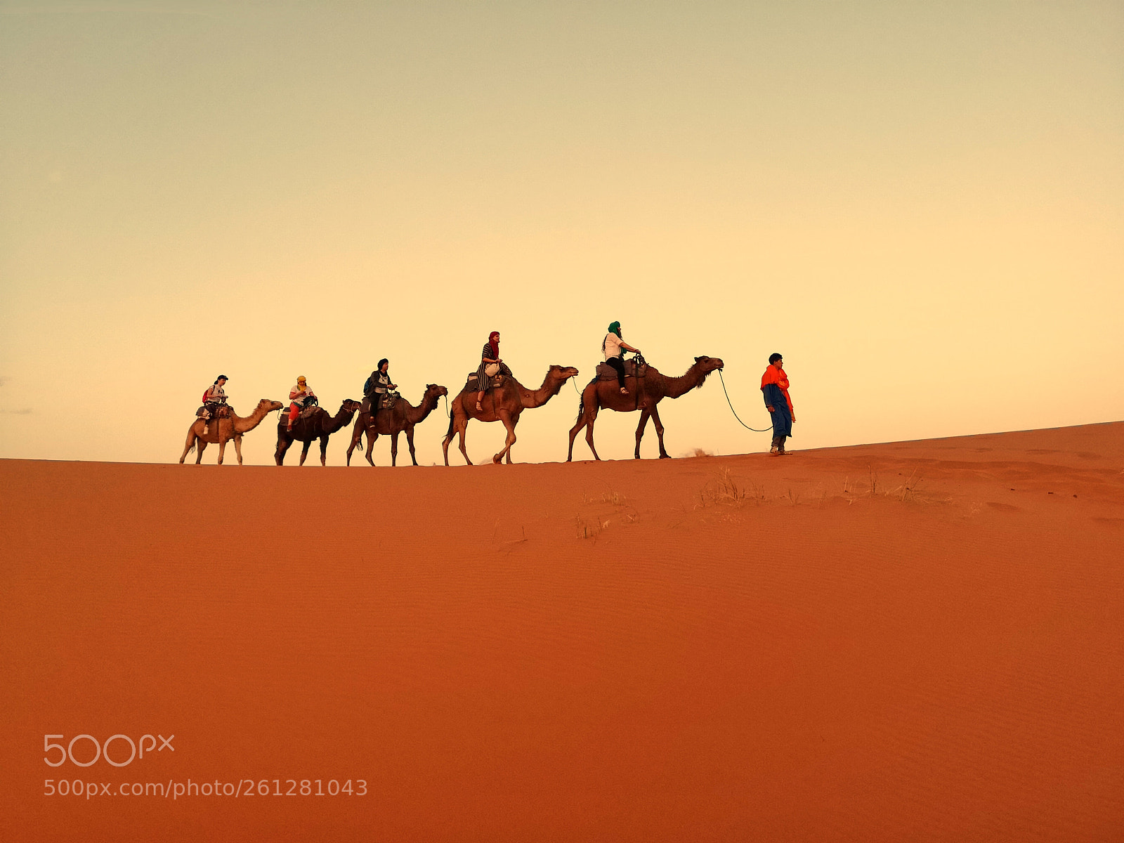 HUAWEI CLT-L29 sample photo. Camels on the sky photography