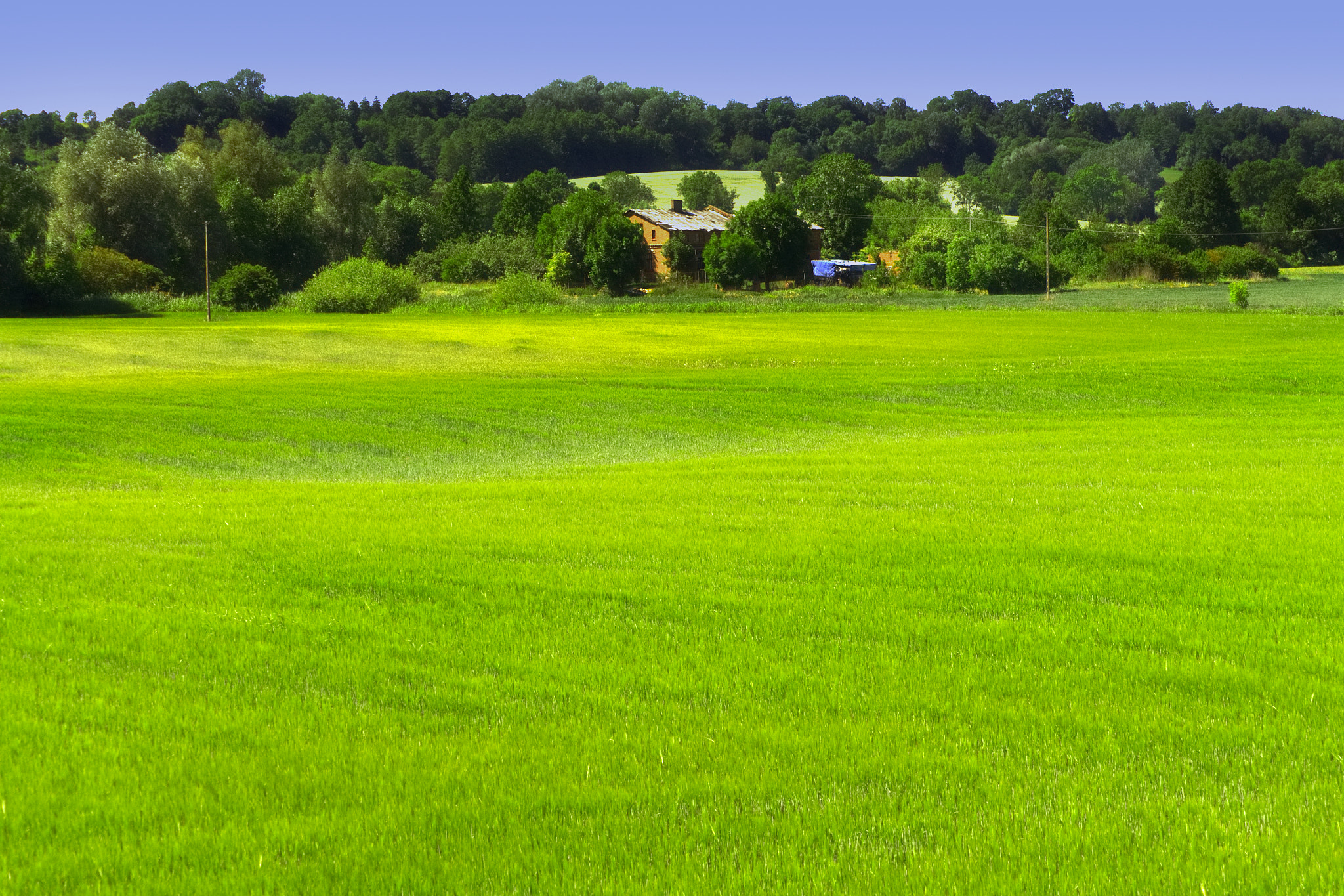 Sony Alpha DSLR-A450 sample photo. Poland is a beautiful country photography