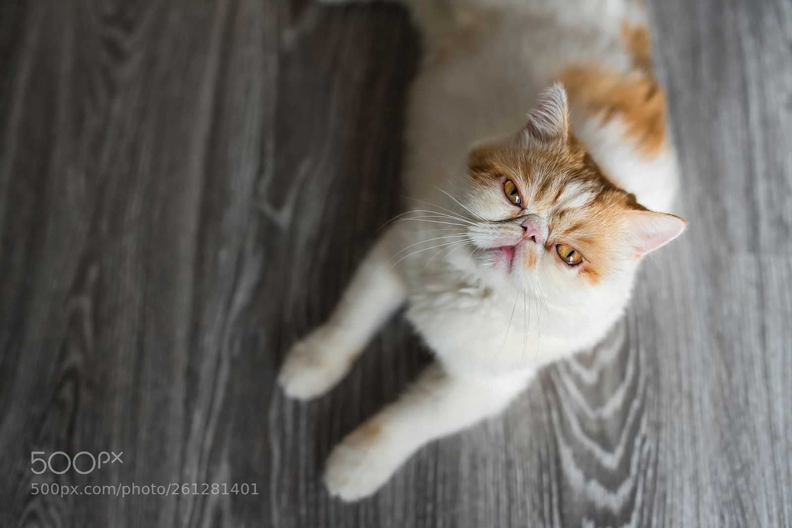Nikon D810 sample photo. Adore me photography
