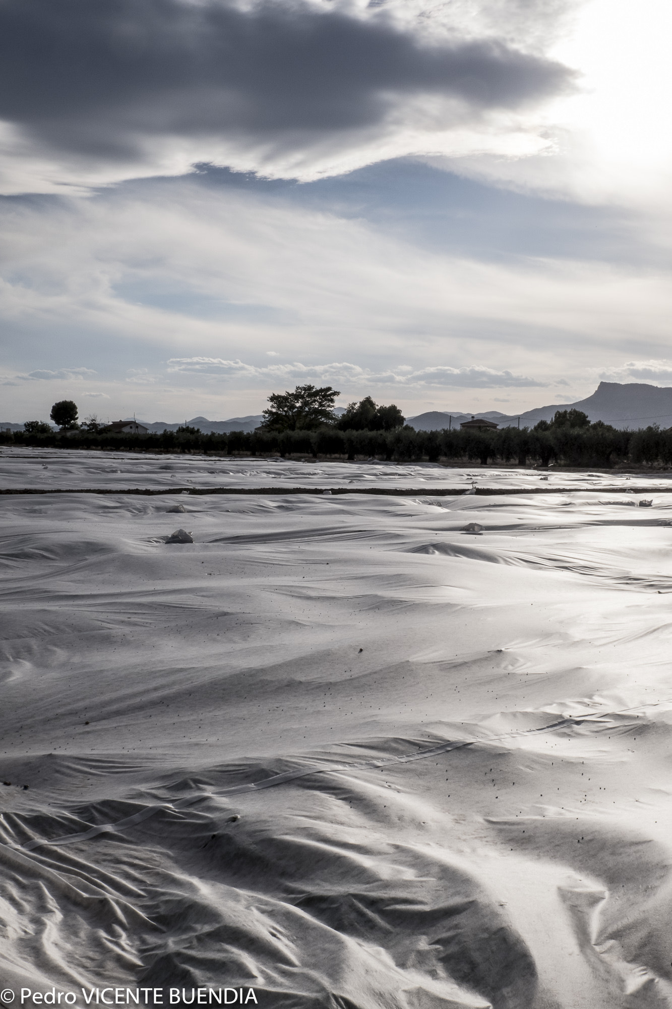 Fujifilm X-E3 sample photo. La marisma de plastico photography