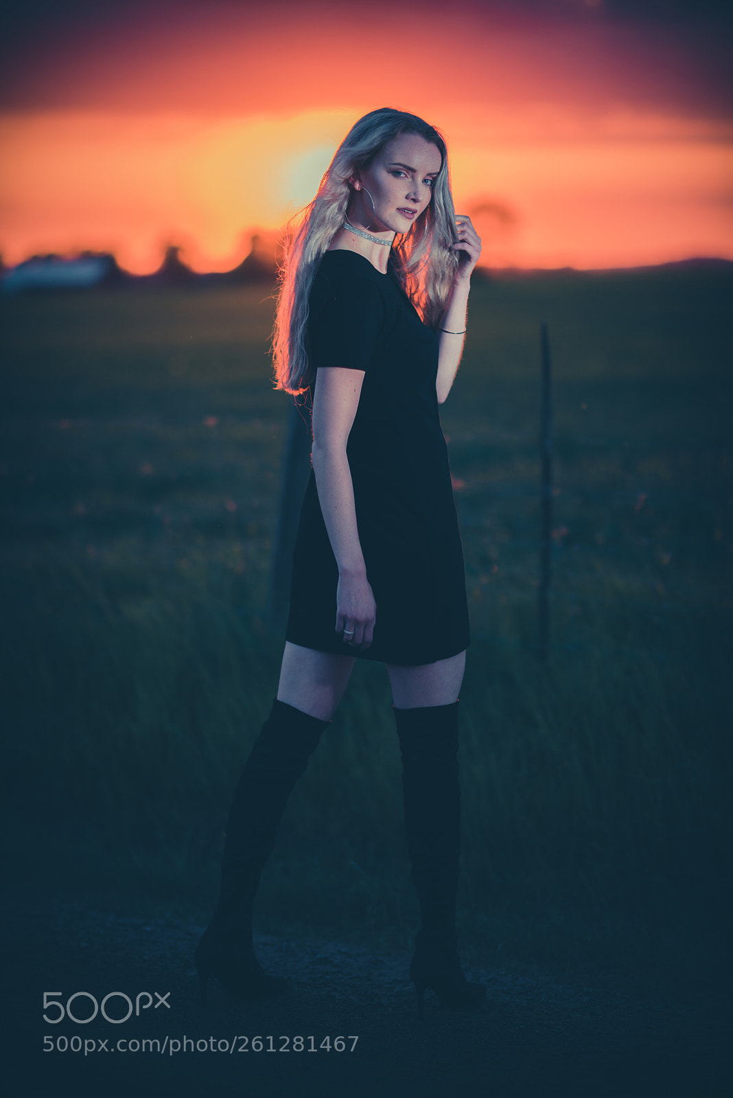 Nikon D810 sample photo. Kia photography
