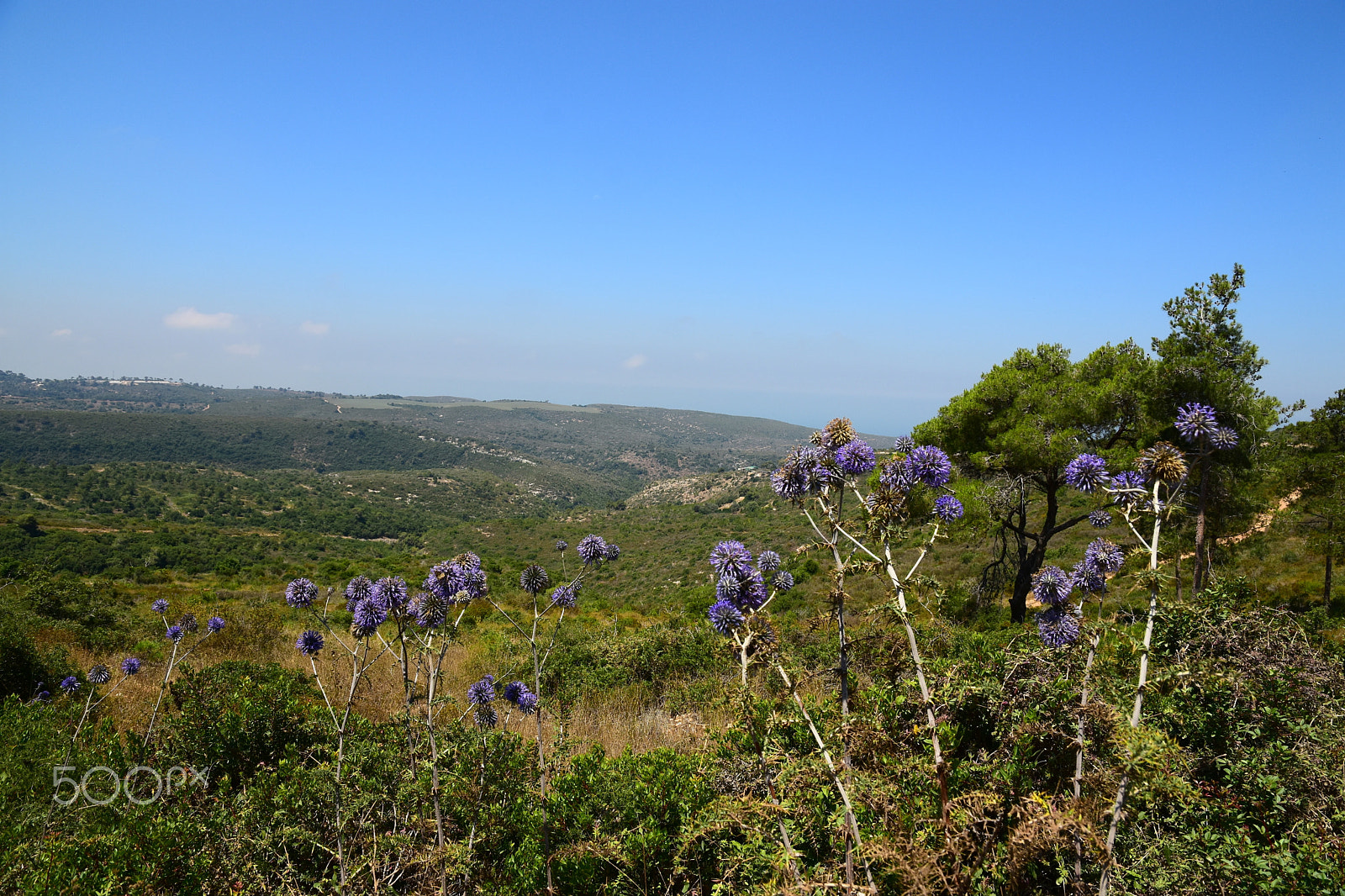 Nikon D7200 sample photo