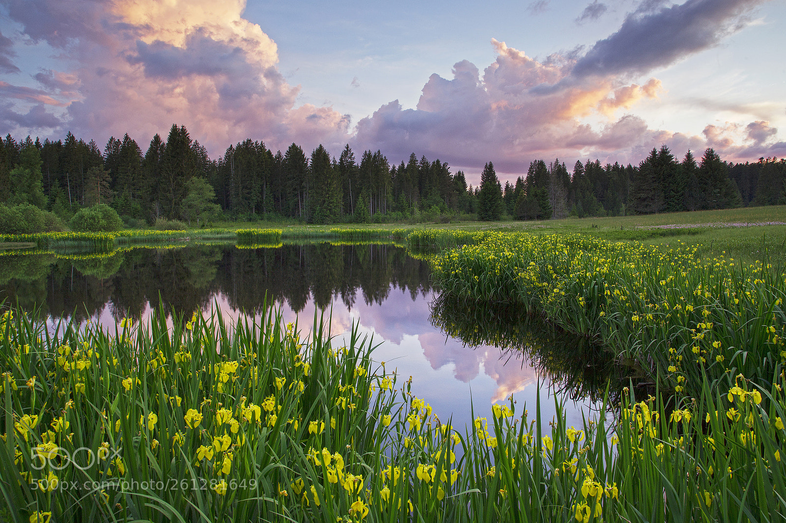 Canon EOS 6D sample photo. Emmental photography