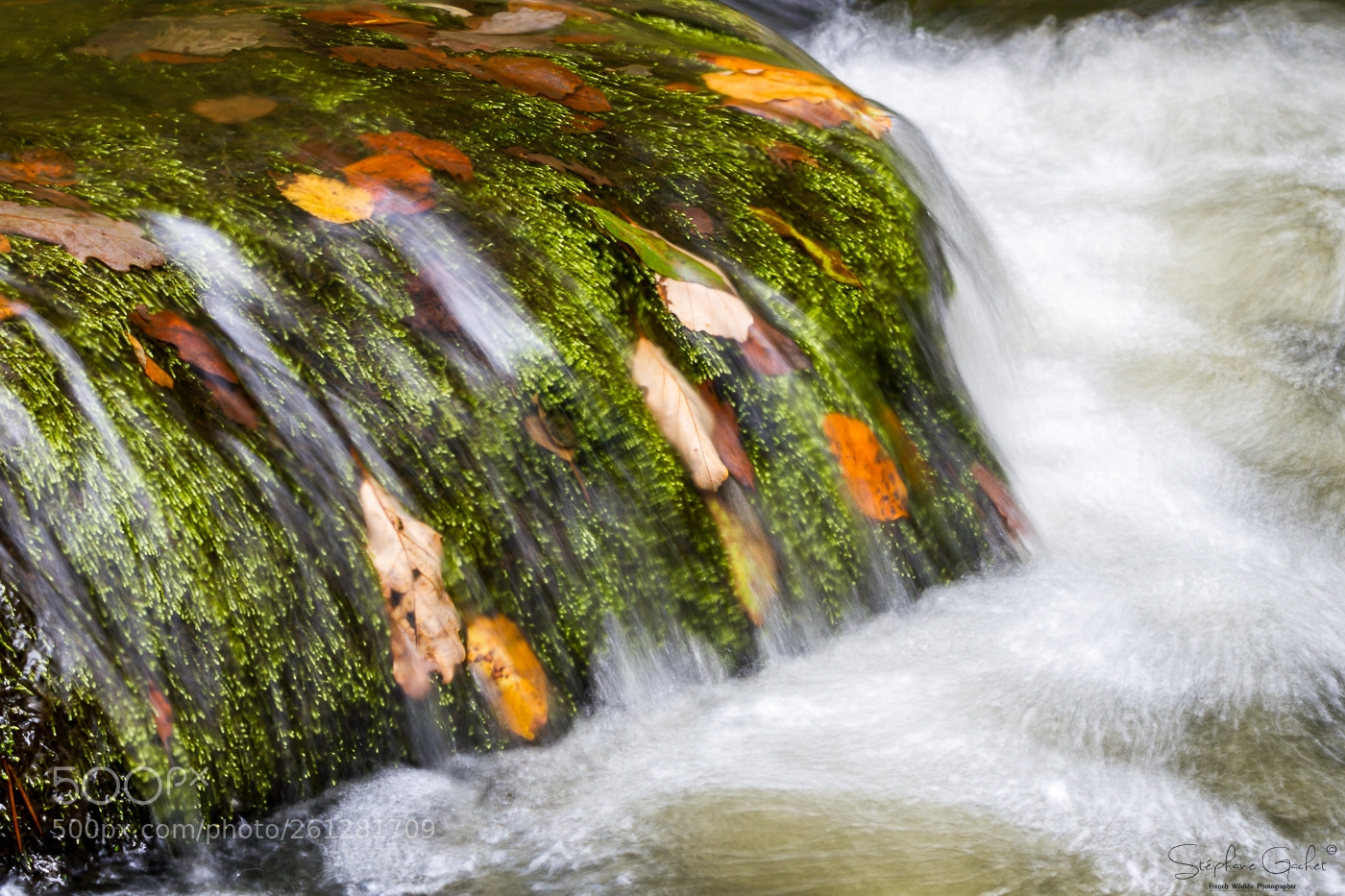 Canon EOS 7D sample photo. Huelgoat photography