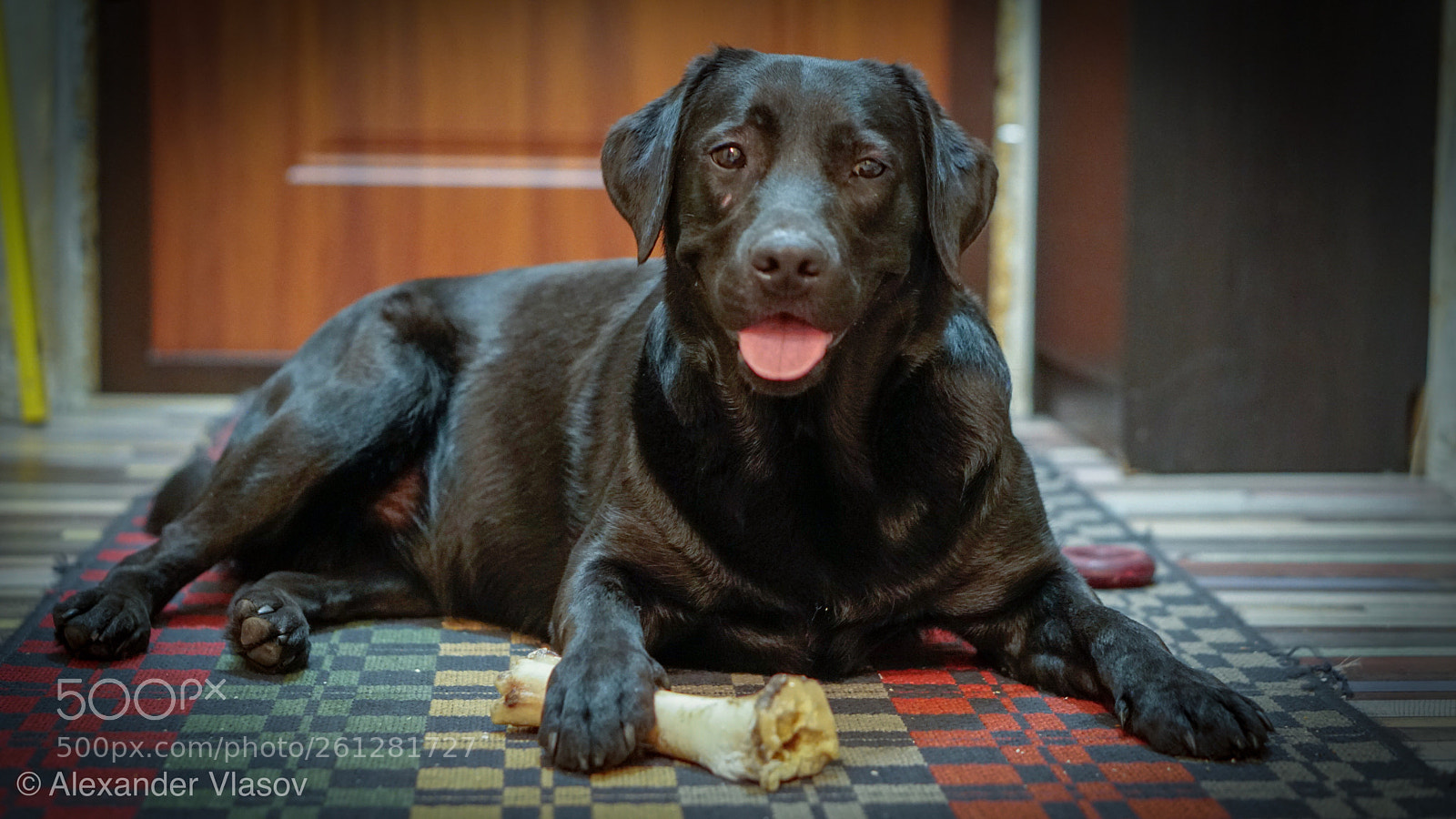 Sony a6500 sample photo. Bone photography