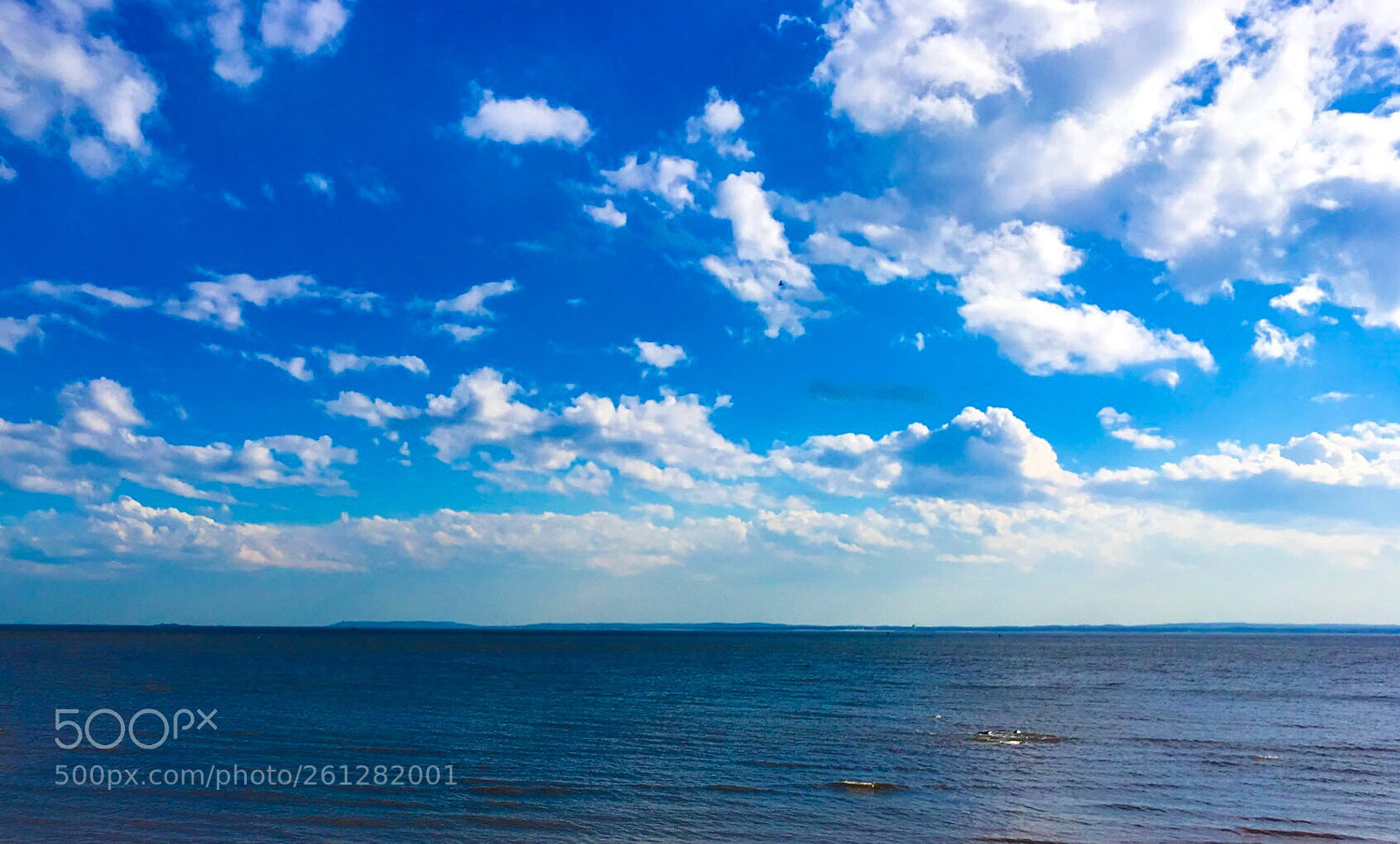 Apple iPhone SE sample photo. Blue sky photography