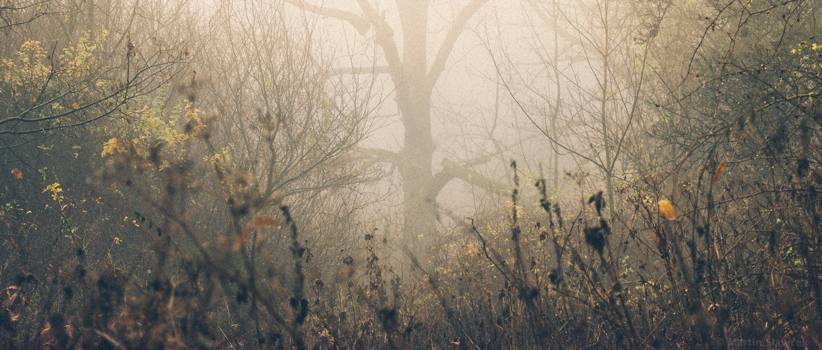 Olympus PEN E-PL7 sample photo. Nature in its magnificence photography