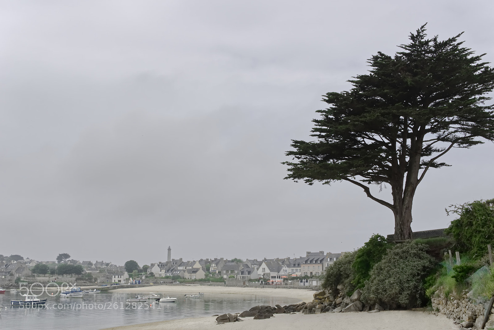 Sony a6000 sample photo. Foggy cold day on photography