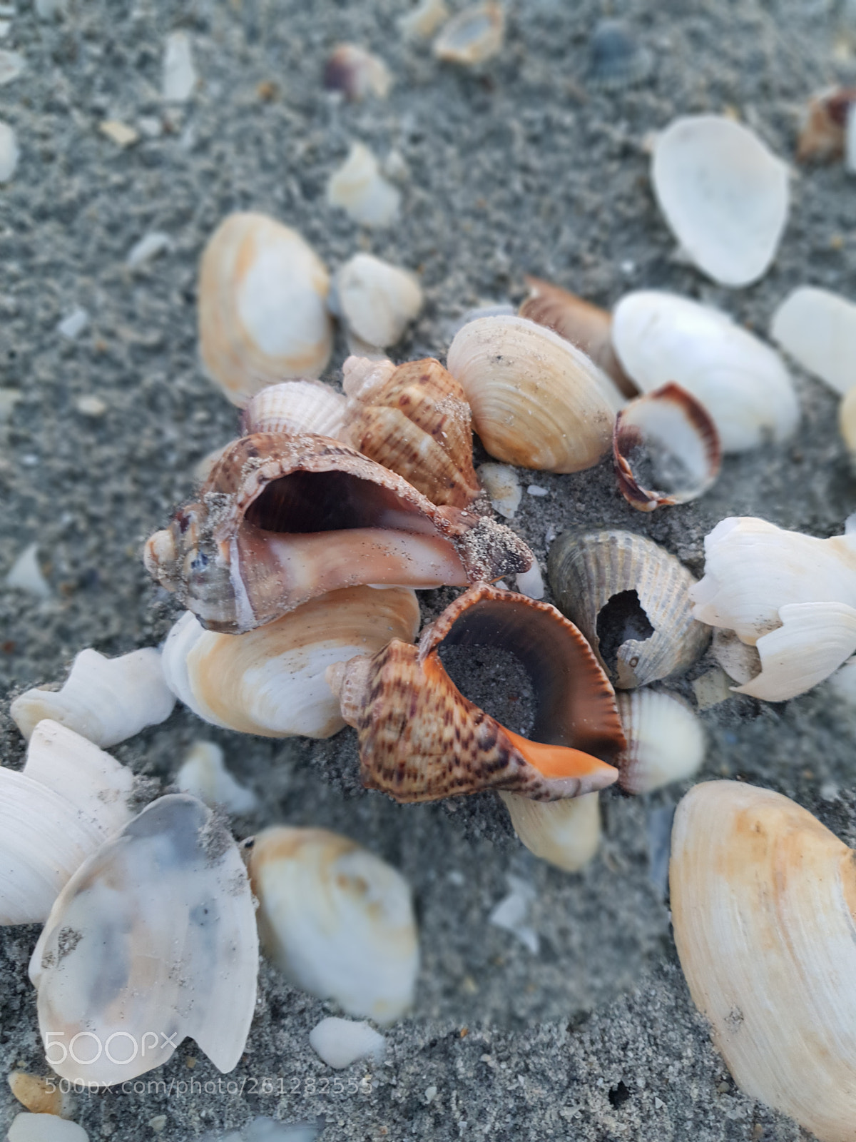 Samsung Galaxy S9 sample photo. Untitled photography