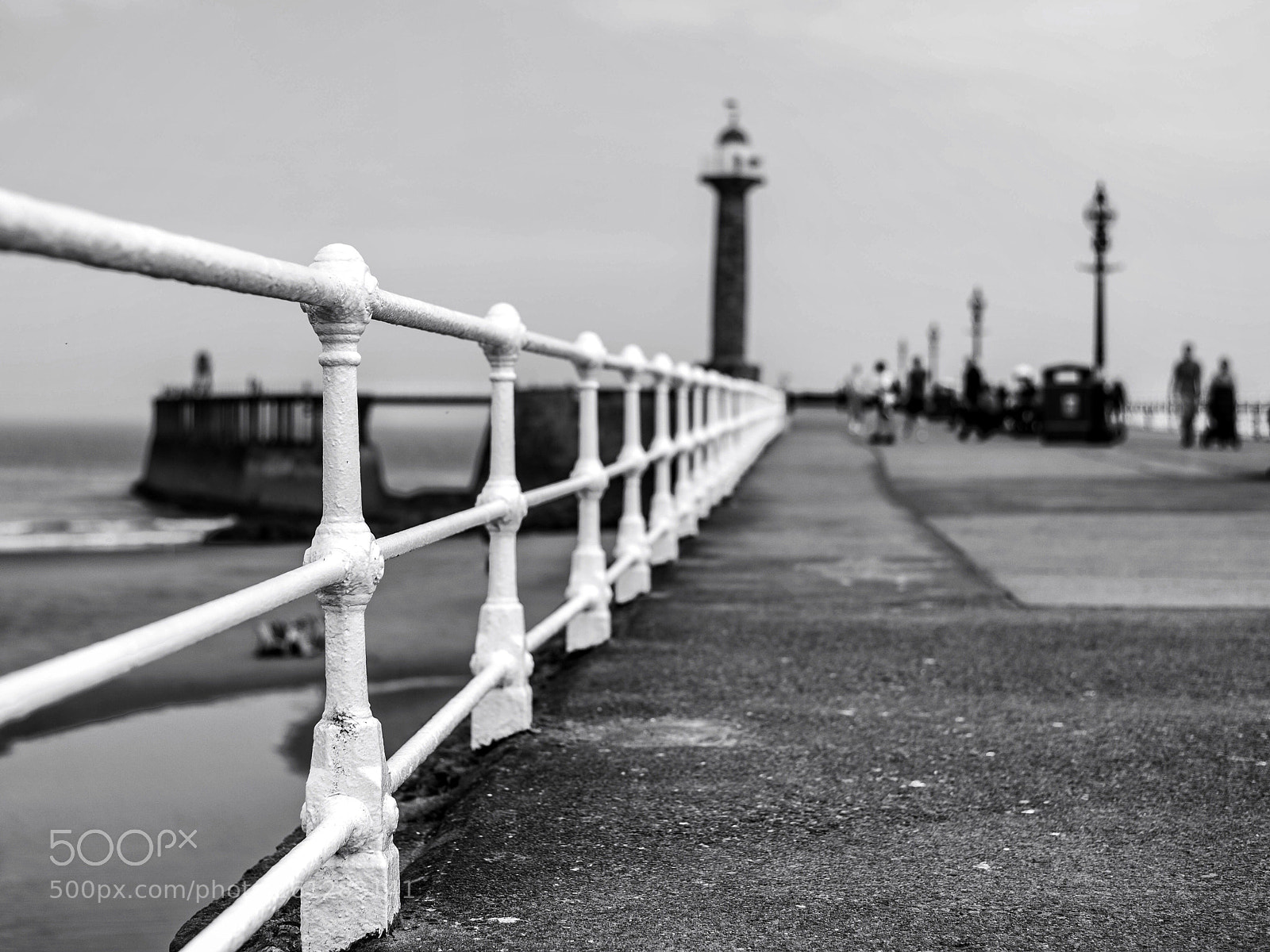Nikon D810 sample photo. Untitled photography