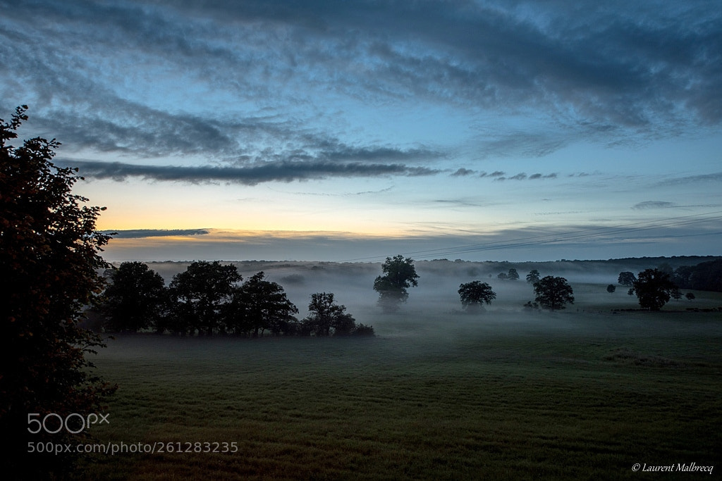 Nikon D810 sample photo. Brume photography