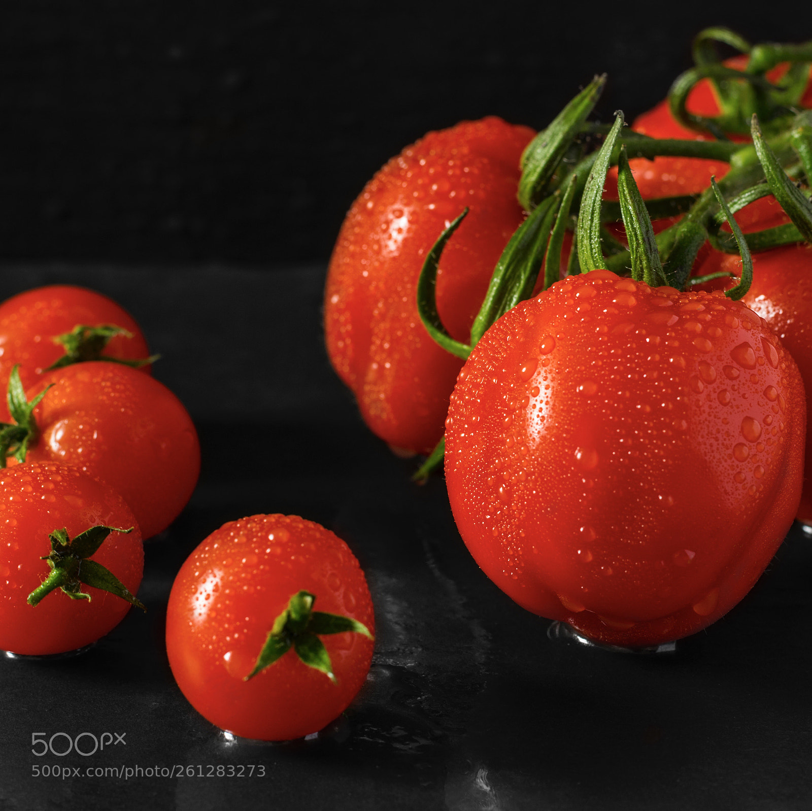 Nikon D5300 sample photo. Tomato photography