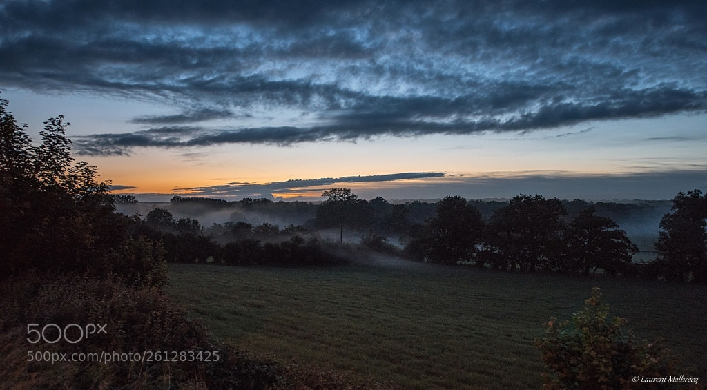 Nikon D810 sample photo. Brume d82_0614-1.jpg photography
