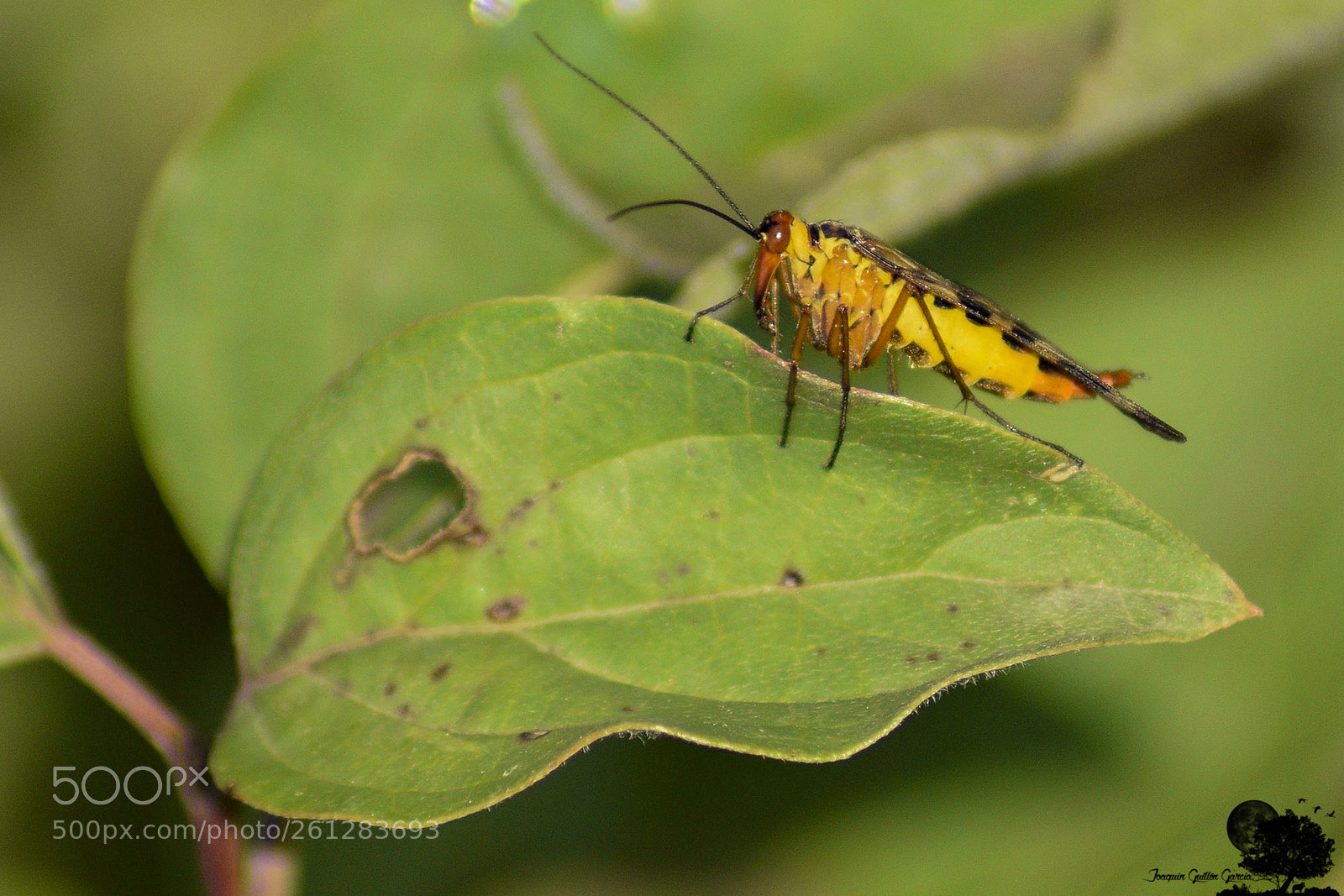 Nikon D3300 sample photo. . photography