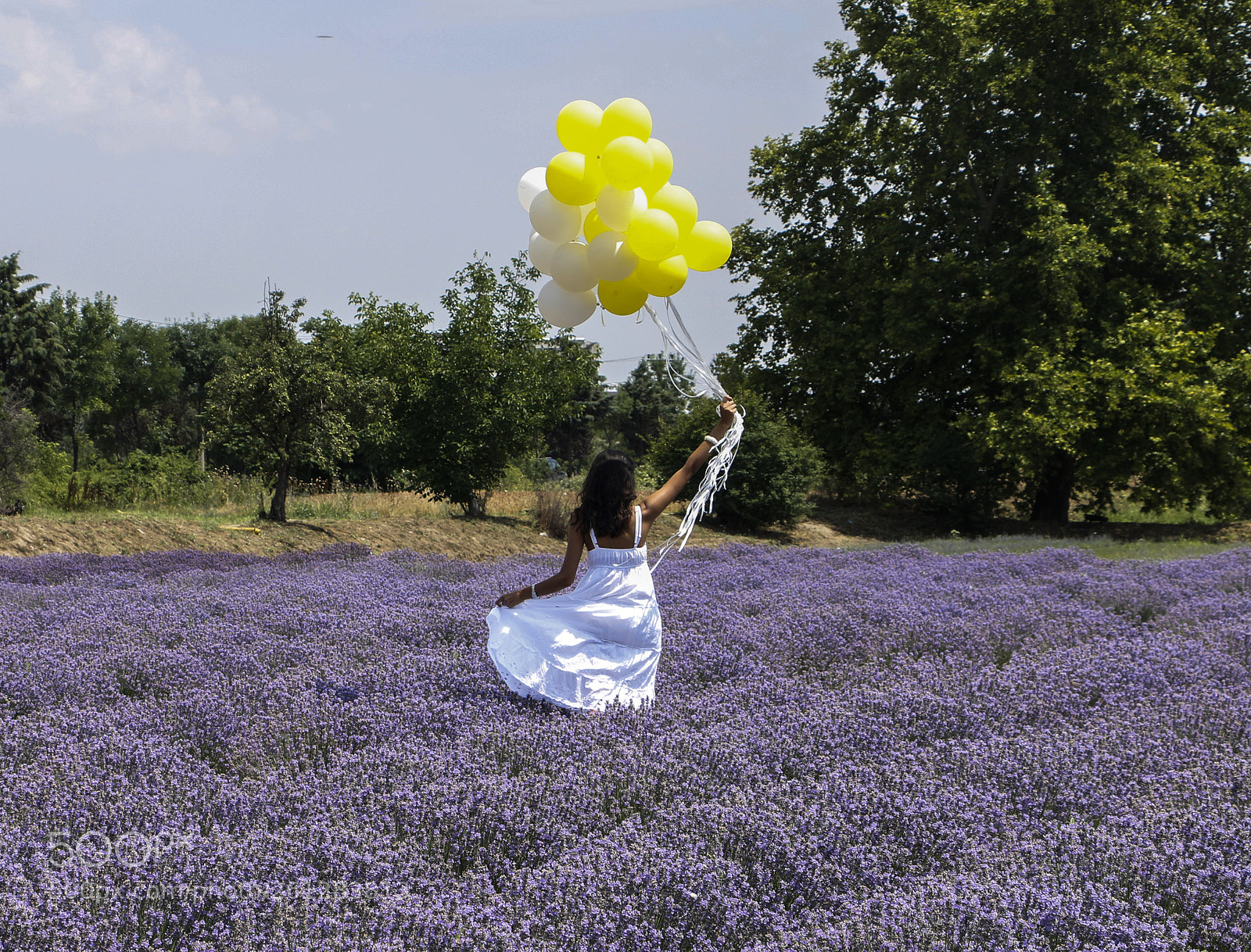 Canon EOS 70D sample photo. Lavanta tarlası photography