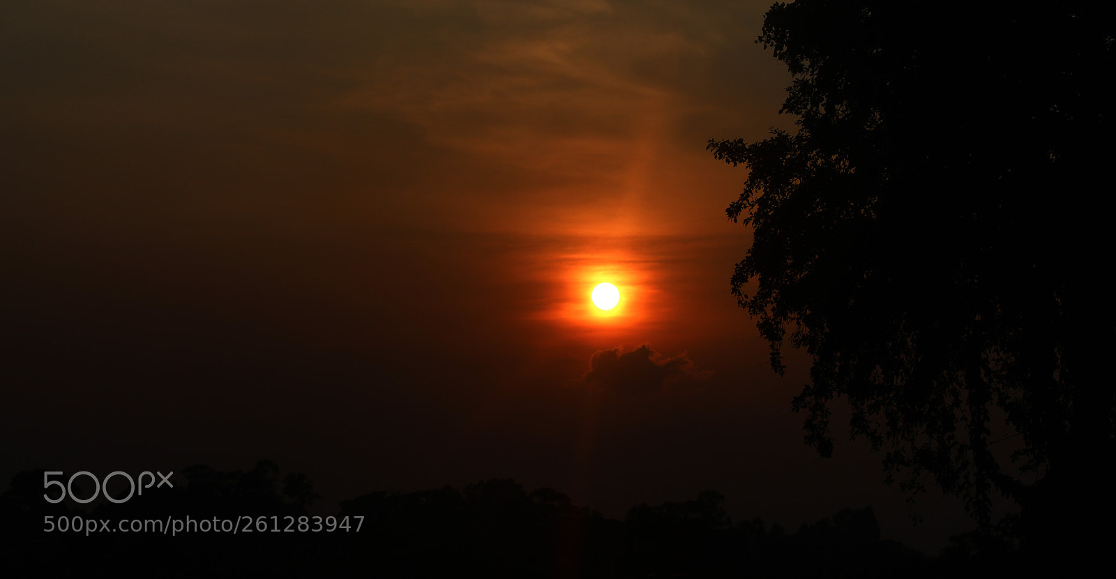 Canon EOS 700D (EOS Rebel T5i / EOS Kiss X7i) sample photo. Img photography
