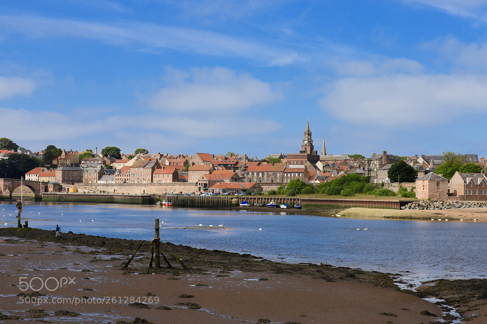 Canon EOS 6D Mark II sample photo. Berwick photography