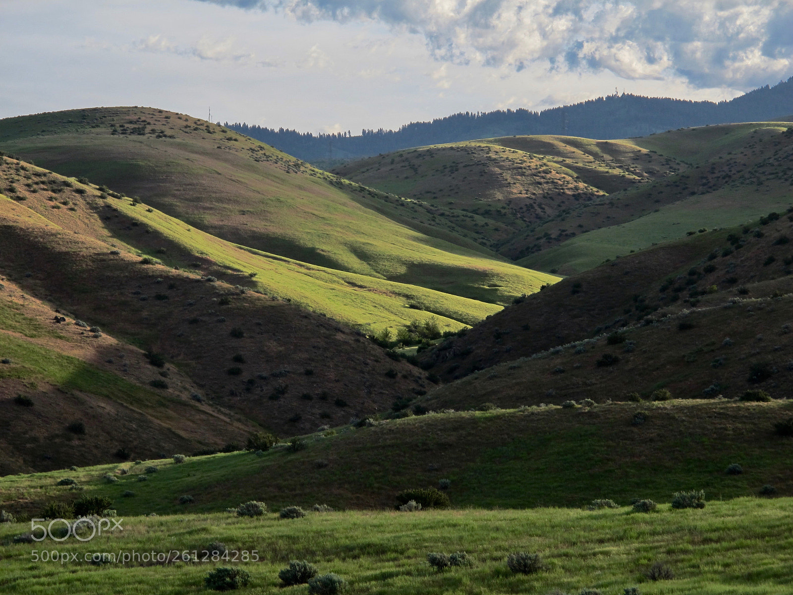 Canon PowerShot G12 sample photo. Boise foothills in may photography