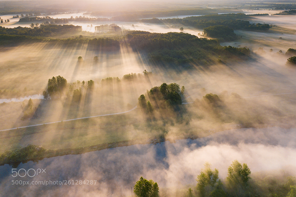 DJI FC220 sample photo. Above the fog photography