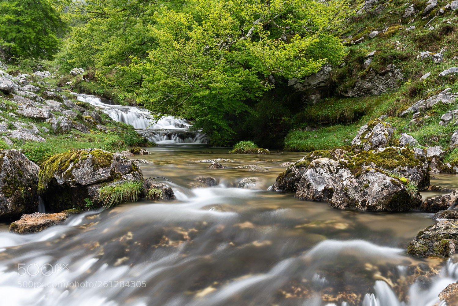 Nikon D750 sample photo. Río redemuña photography
