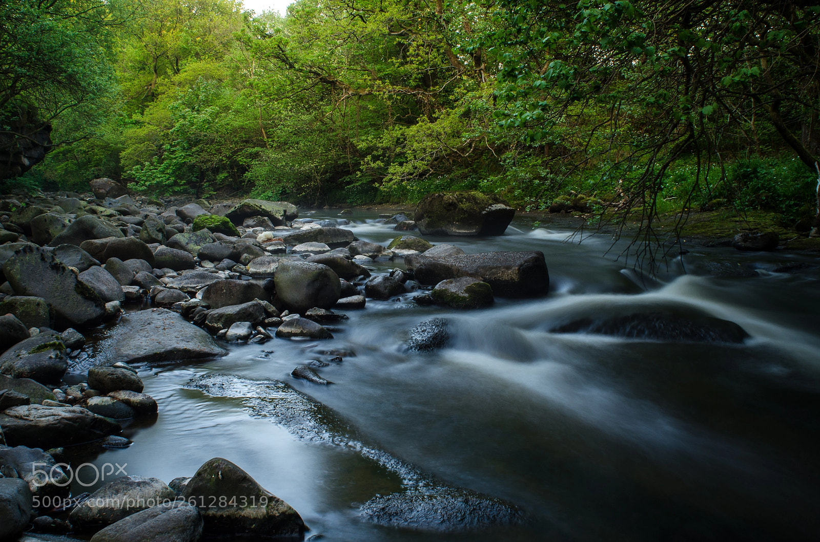 Nikon D5100 sample photo. Wet stones photography