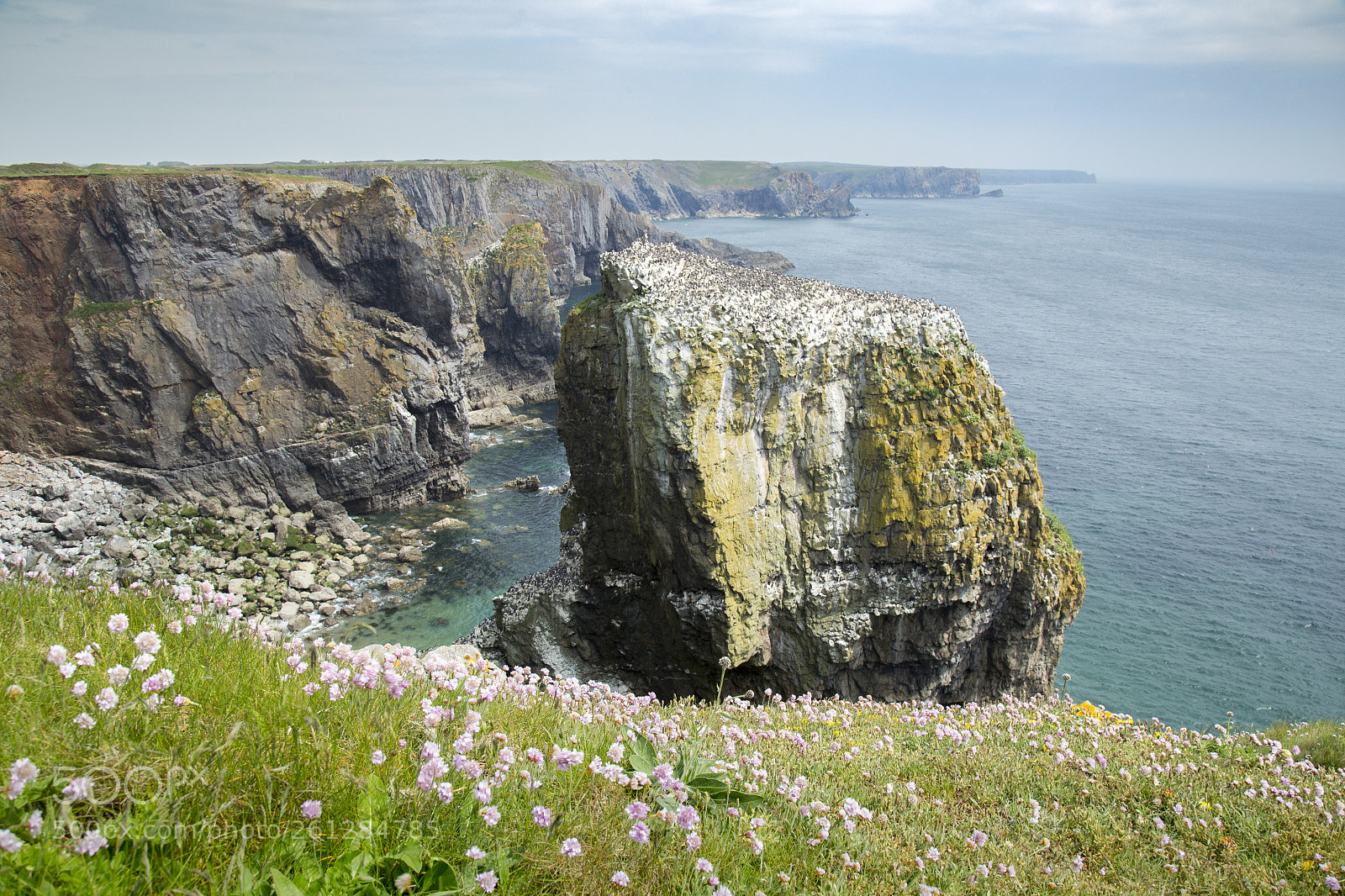 Canon EOS 6D sample photo. Elegug stacks, pembrokeshire photography