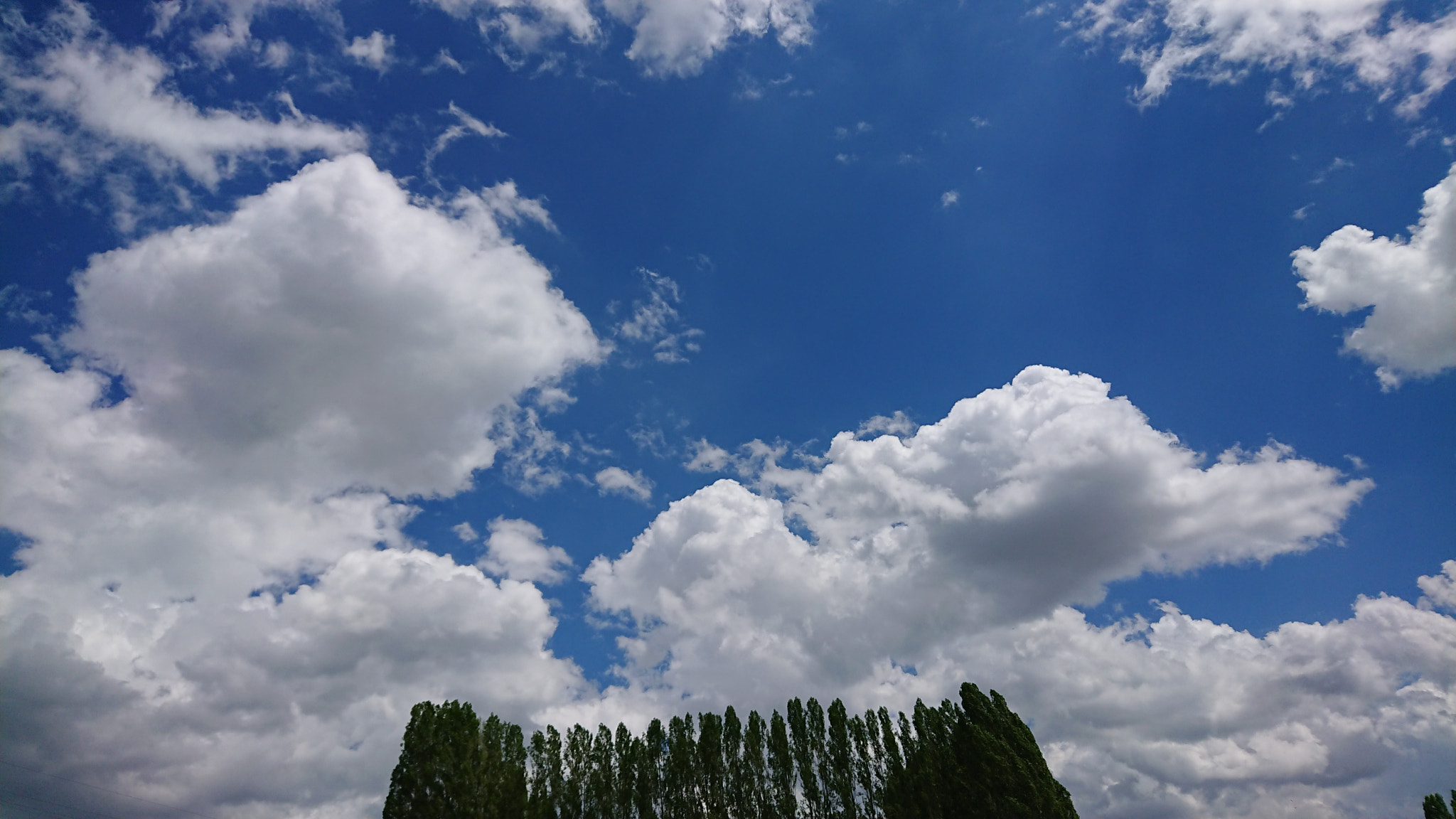 Sony Xperia XZ Premium sample photo