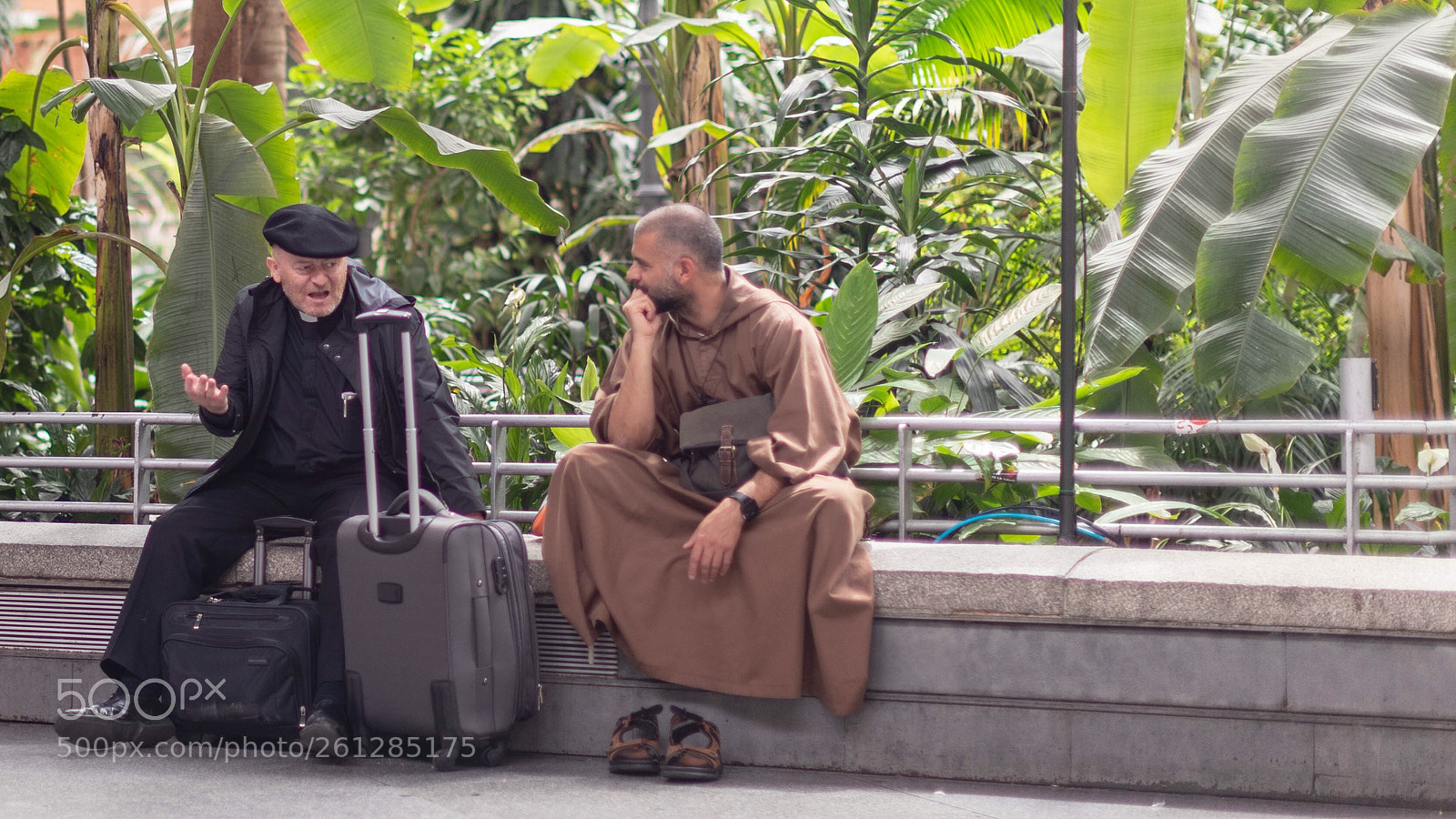 Canon EOS-1D X Mark II sample photo. Untitled photography