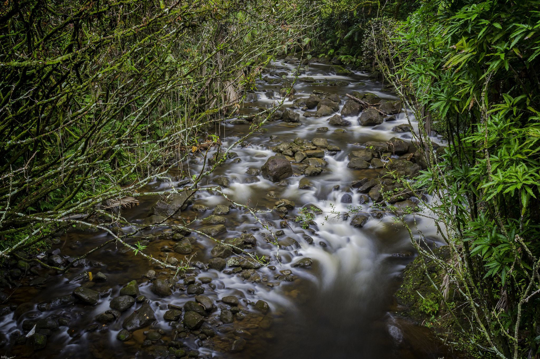 Leica SL (Typ 601) sample photo. Old mamalahoa road photography