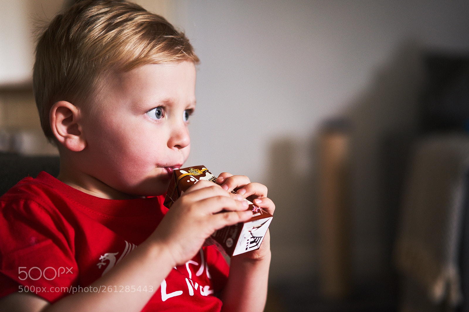 Sony a7R III sample photo. Day one hundred fifty photography