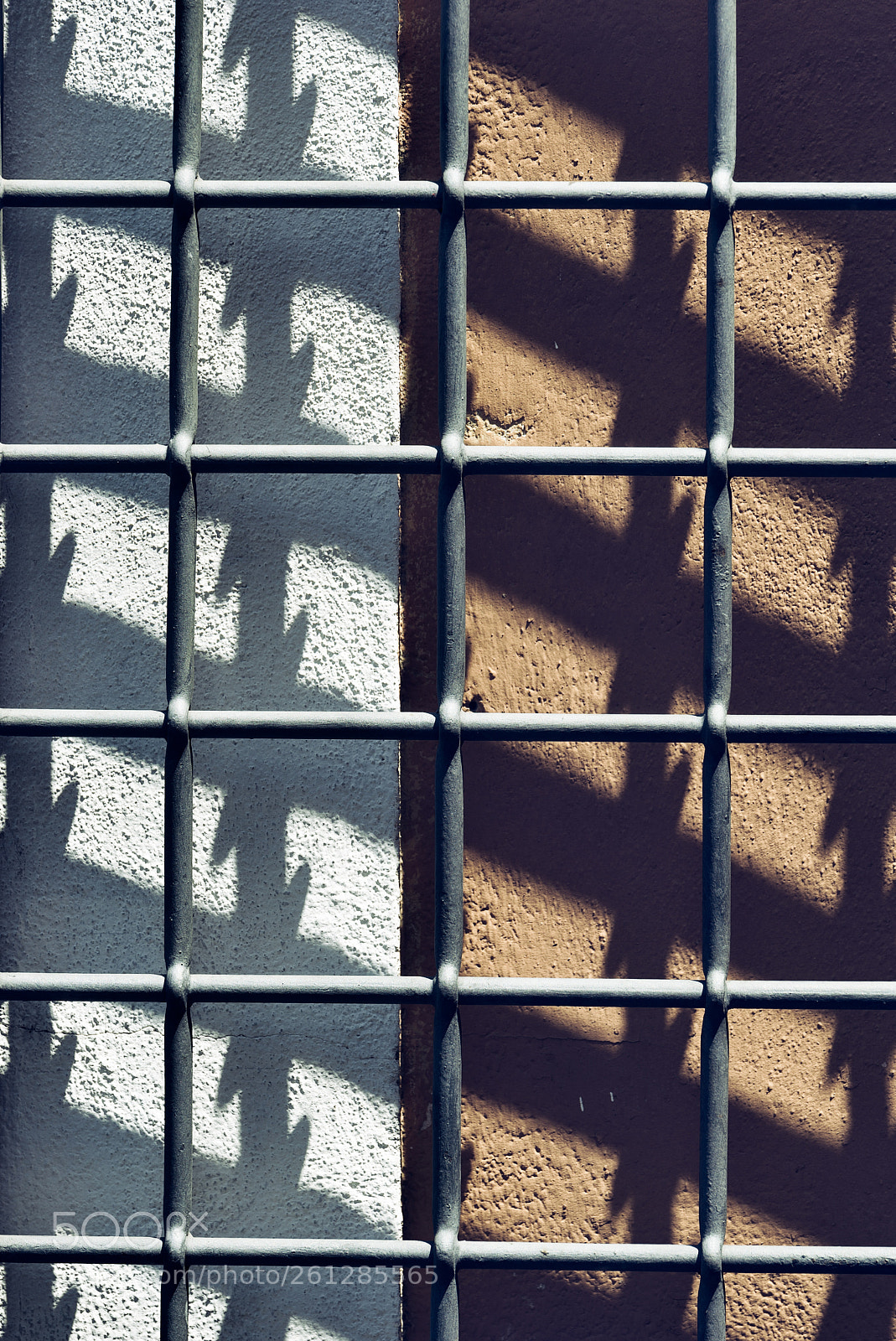 Nikon D750 sample photo. Diferente - different photography
