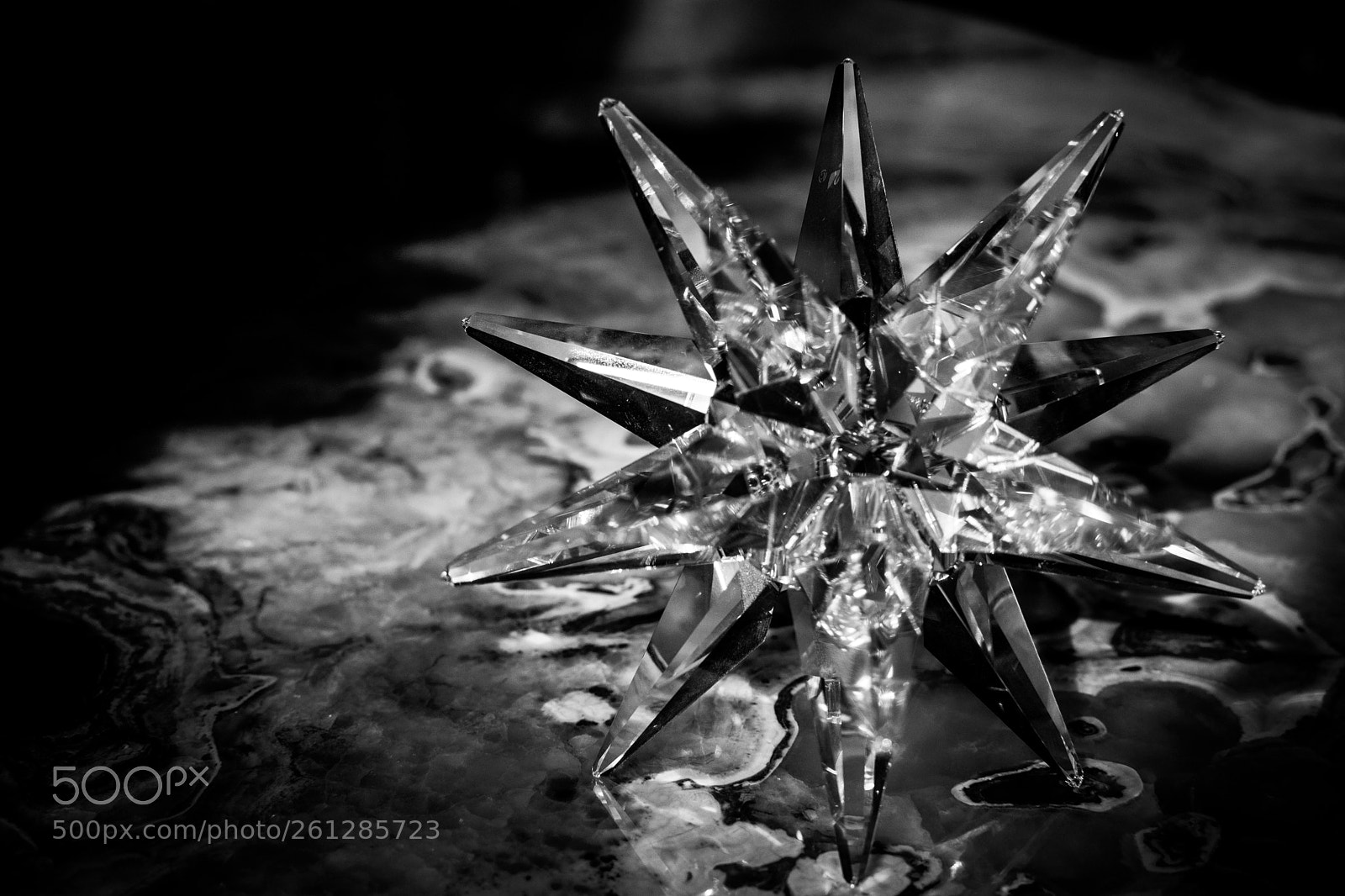 Nikon D3400 sample photo. Twinkle little star photography