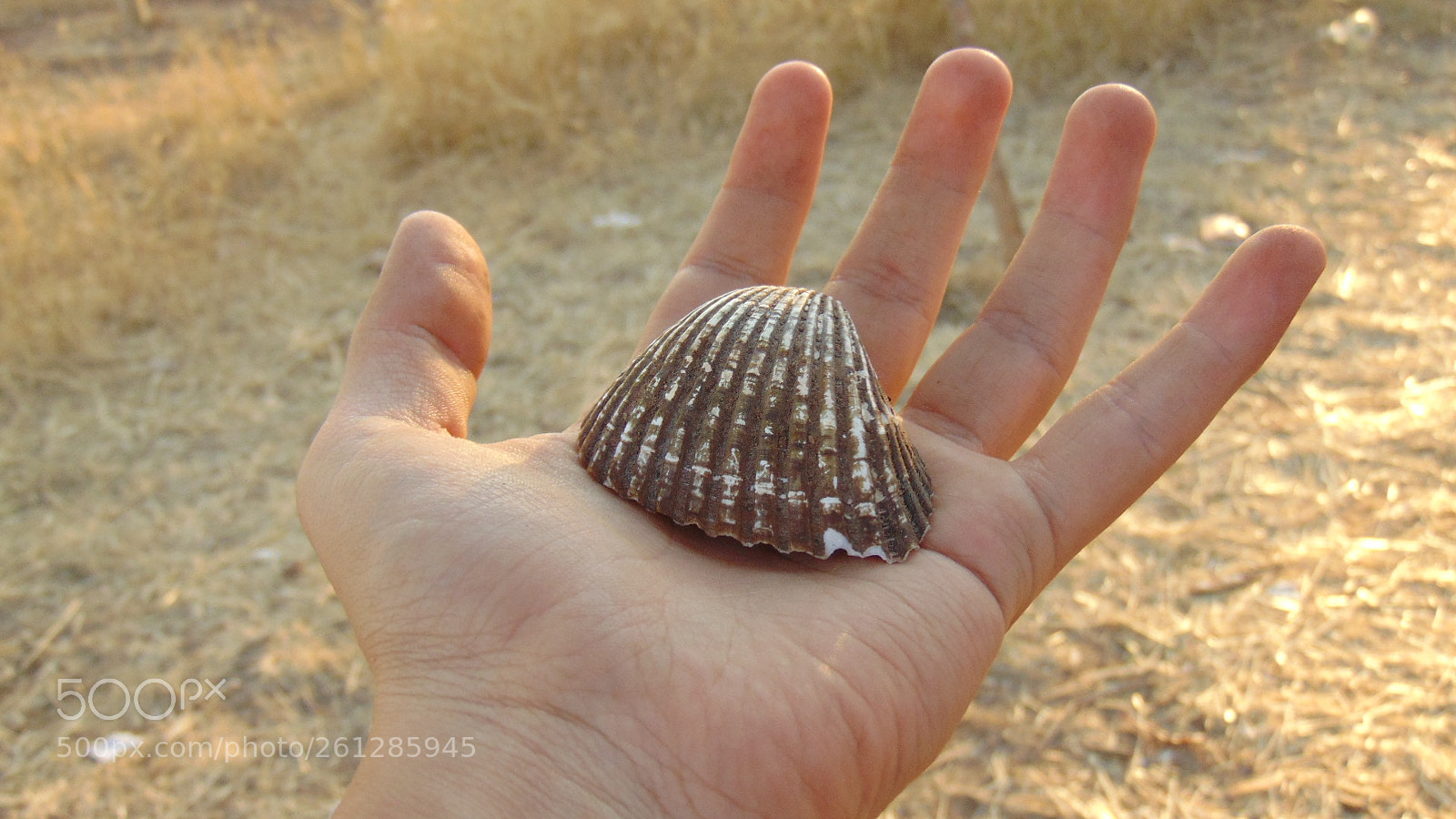 Sony Cyber-shot DSC-H300 sample photo. El mar en la photography