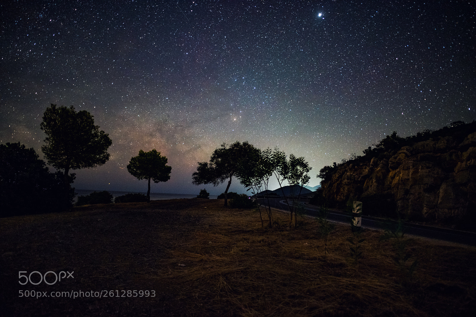 Nikon D750 sample photo. Milky way turn photography