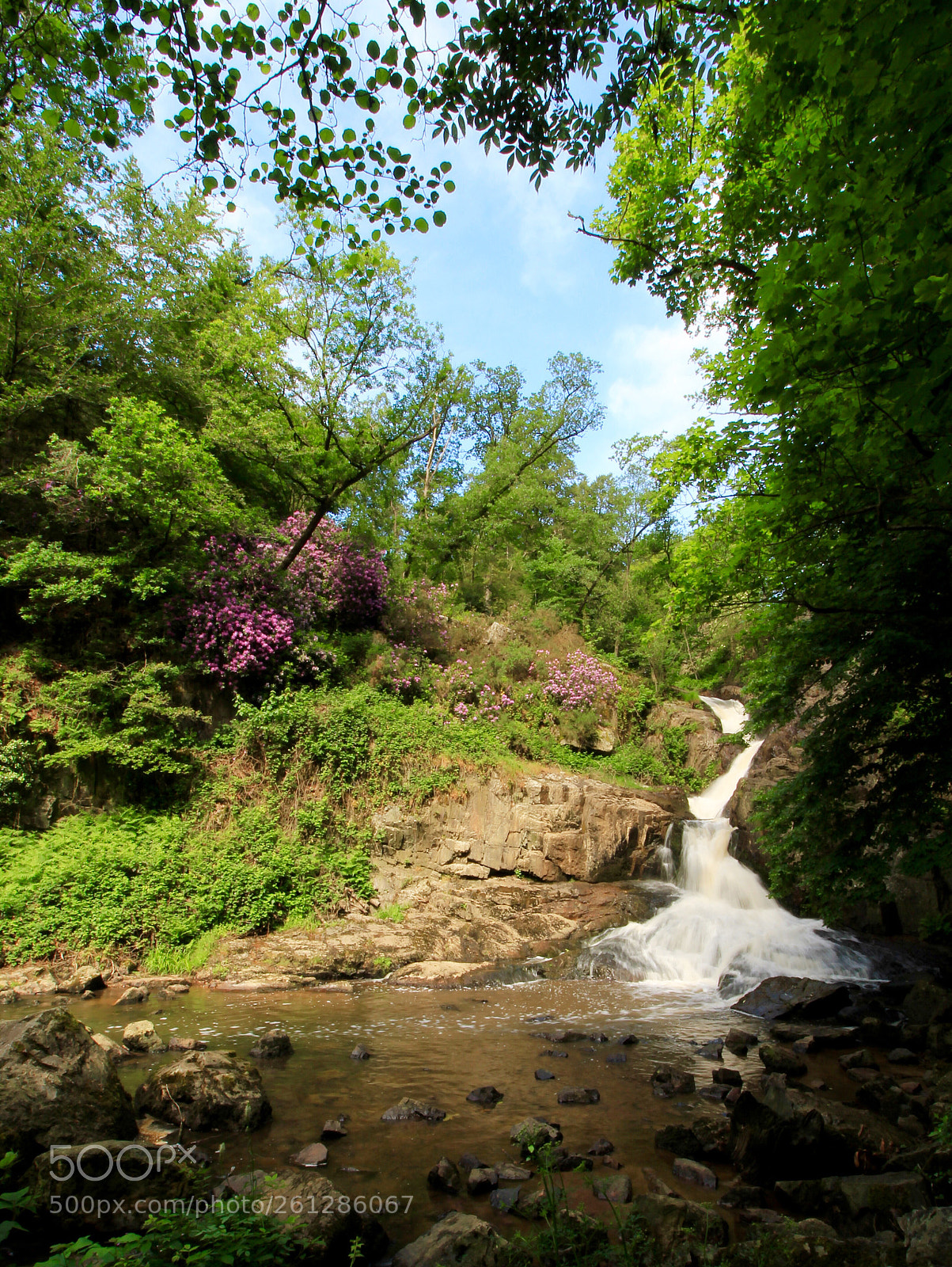 Canon EOS 550D (EOS Rebel T2i / EOS Kiss X4) sample photo. Cascade de mortain photography