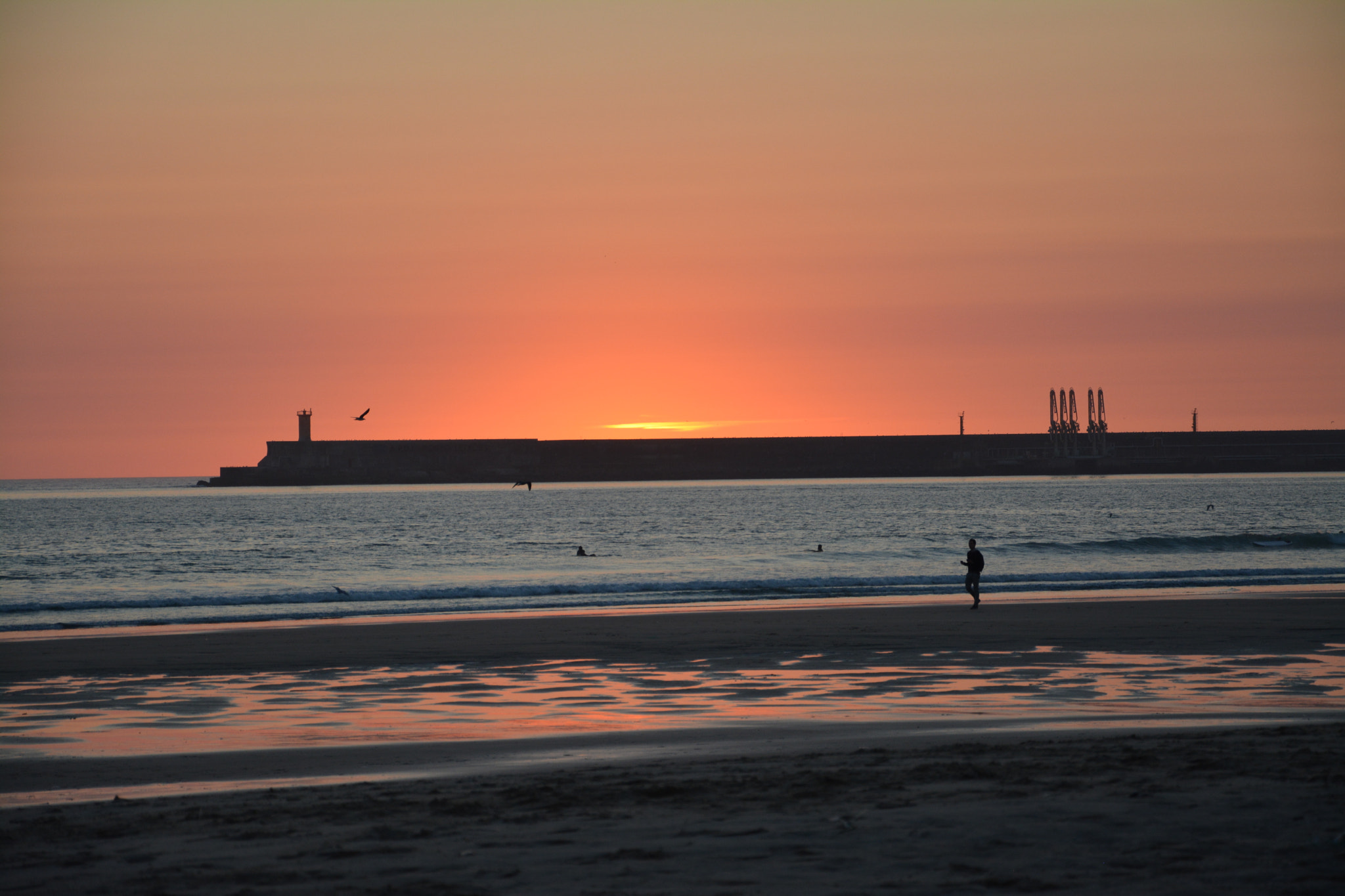 Nikon D5200 sample photo. Orange photography