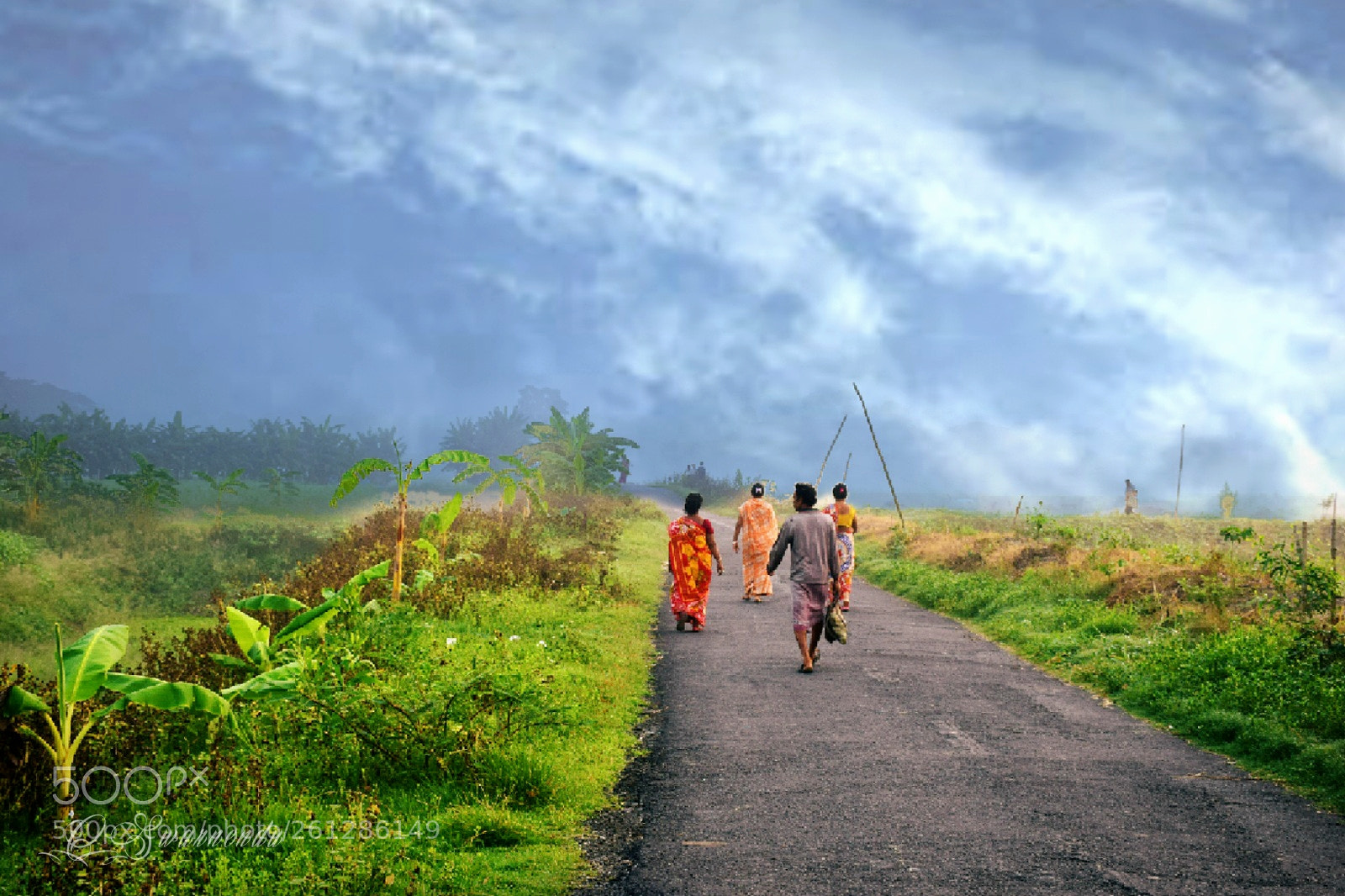 Nikon D5300 sample photo. Untitled photography
