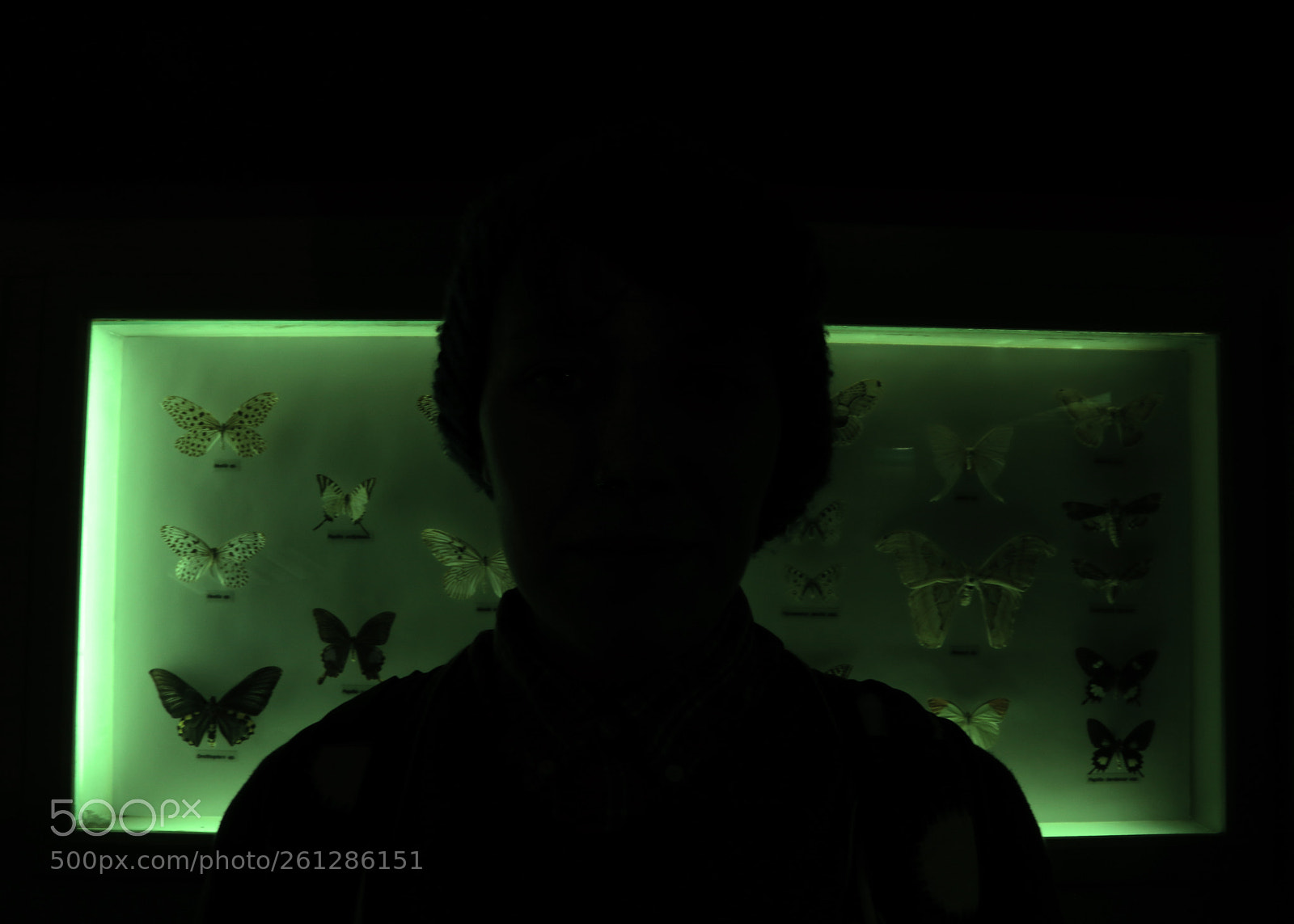 Canon EOS 80D sample photo. Museum vii photography