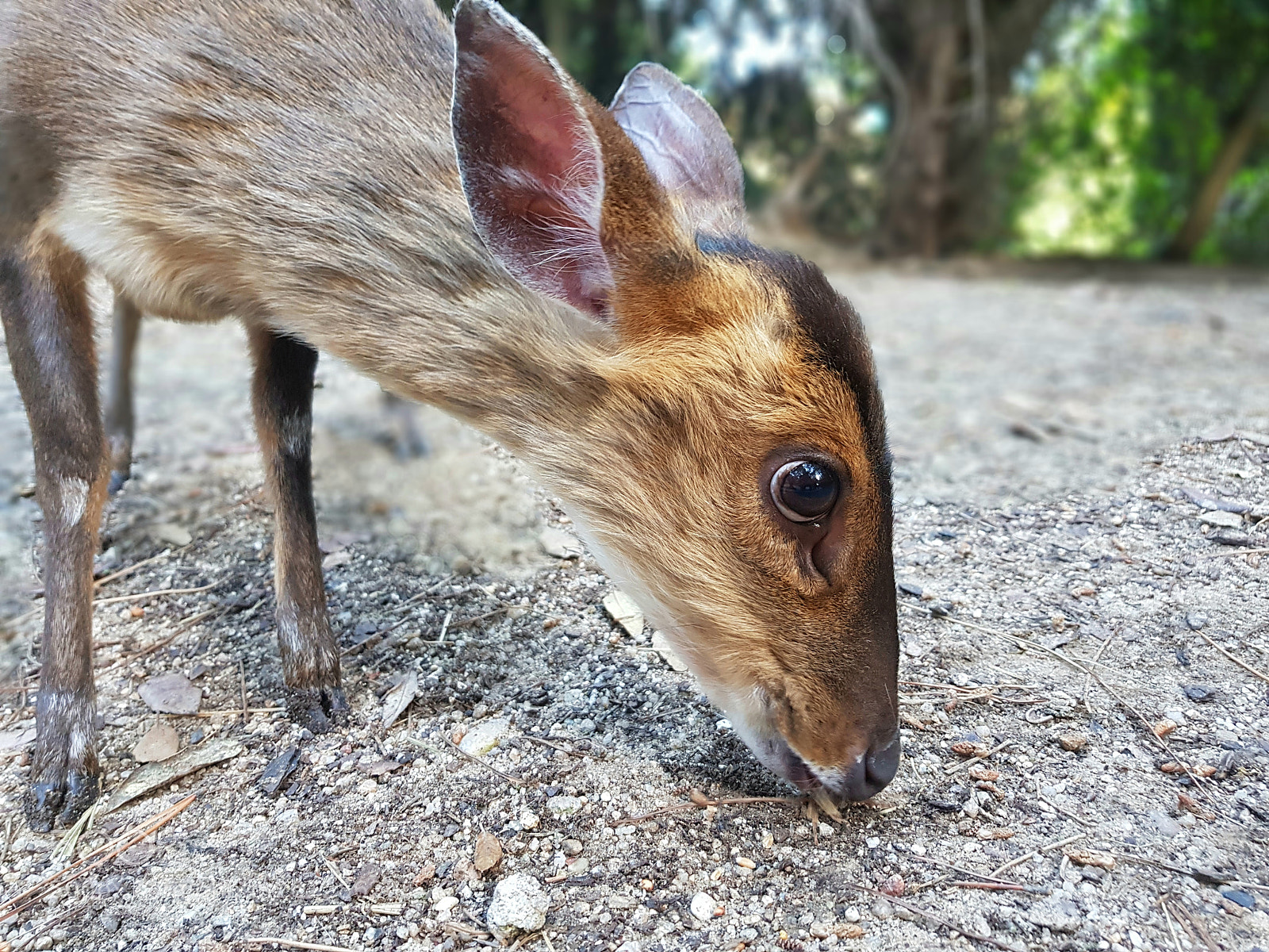 Samsung Galaxy S8 sample photo. Artiván photography