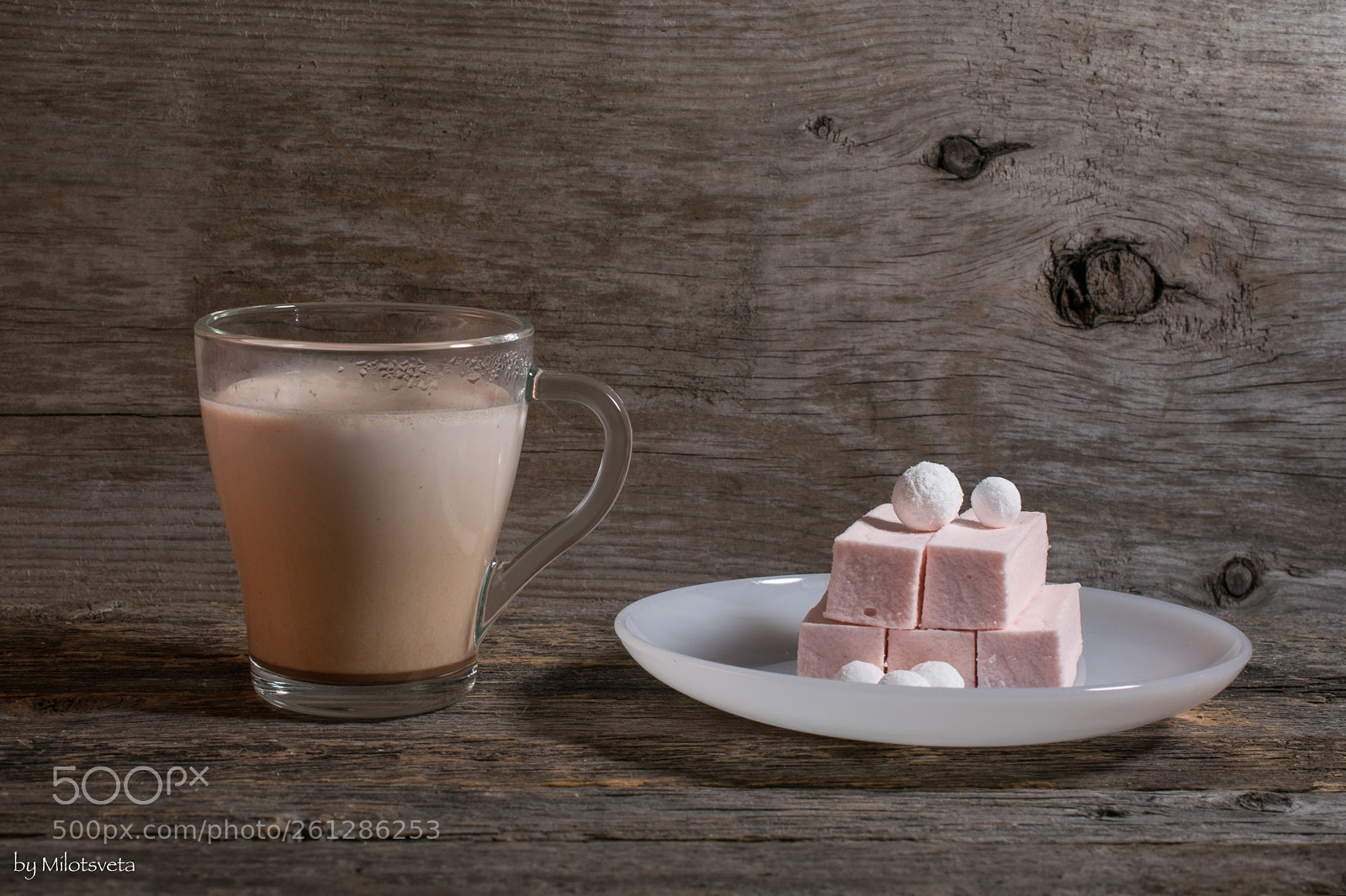 Nikon D3300 sample photo. Cocoa drink and cranberry photography