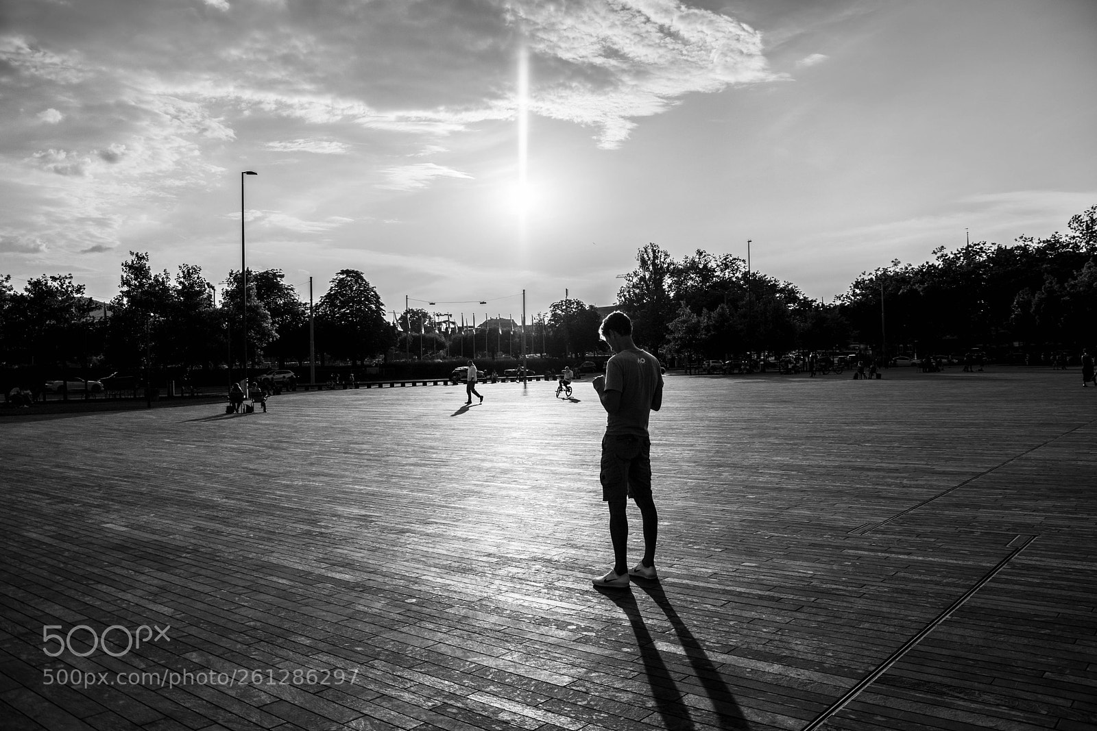 Nikon D7100 sample photo. Backlight photography