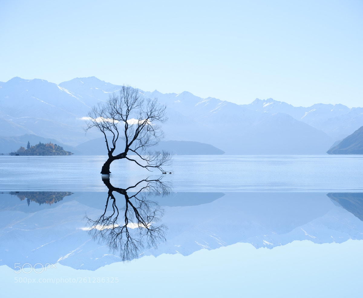 Fujifilm X-T2 sample photo. The wanaka tree photography