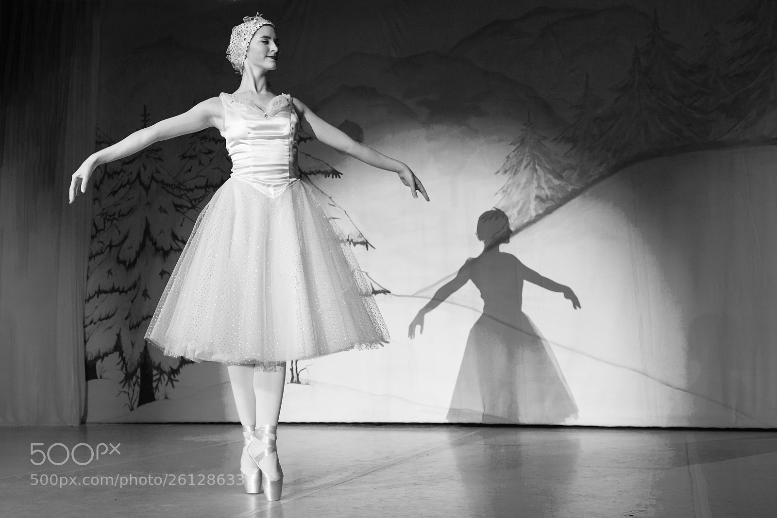 Nikon D610 sample photo. Ballett photography