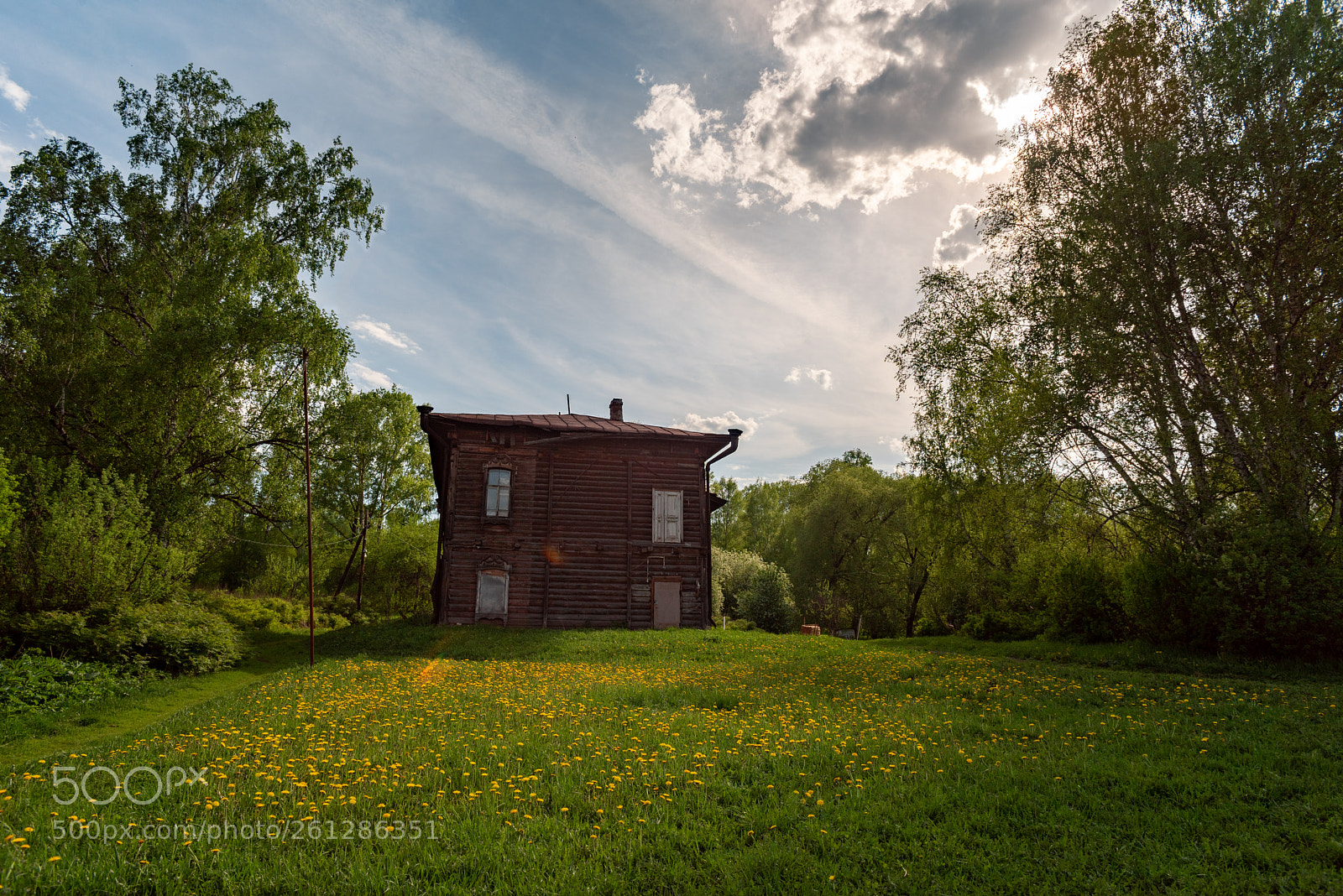 Nikon D750 sample photo. Strange house photography
