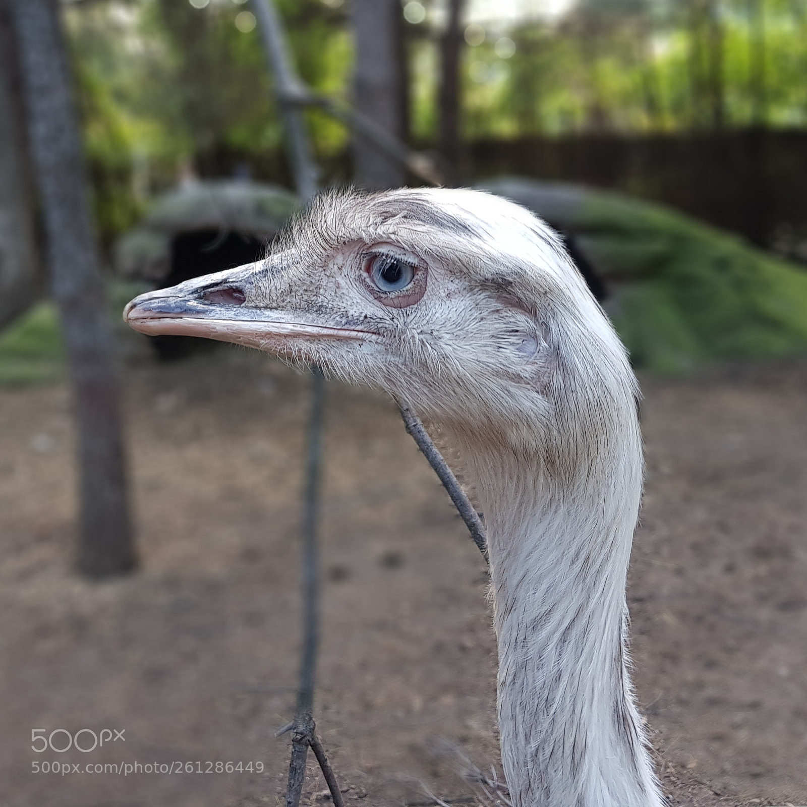 Samsung Galaxy S8 sample photo. Artiván photography