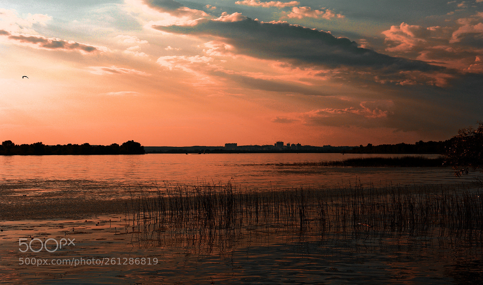 Sony DSC-R1 sample photo. Dnipro river photography