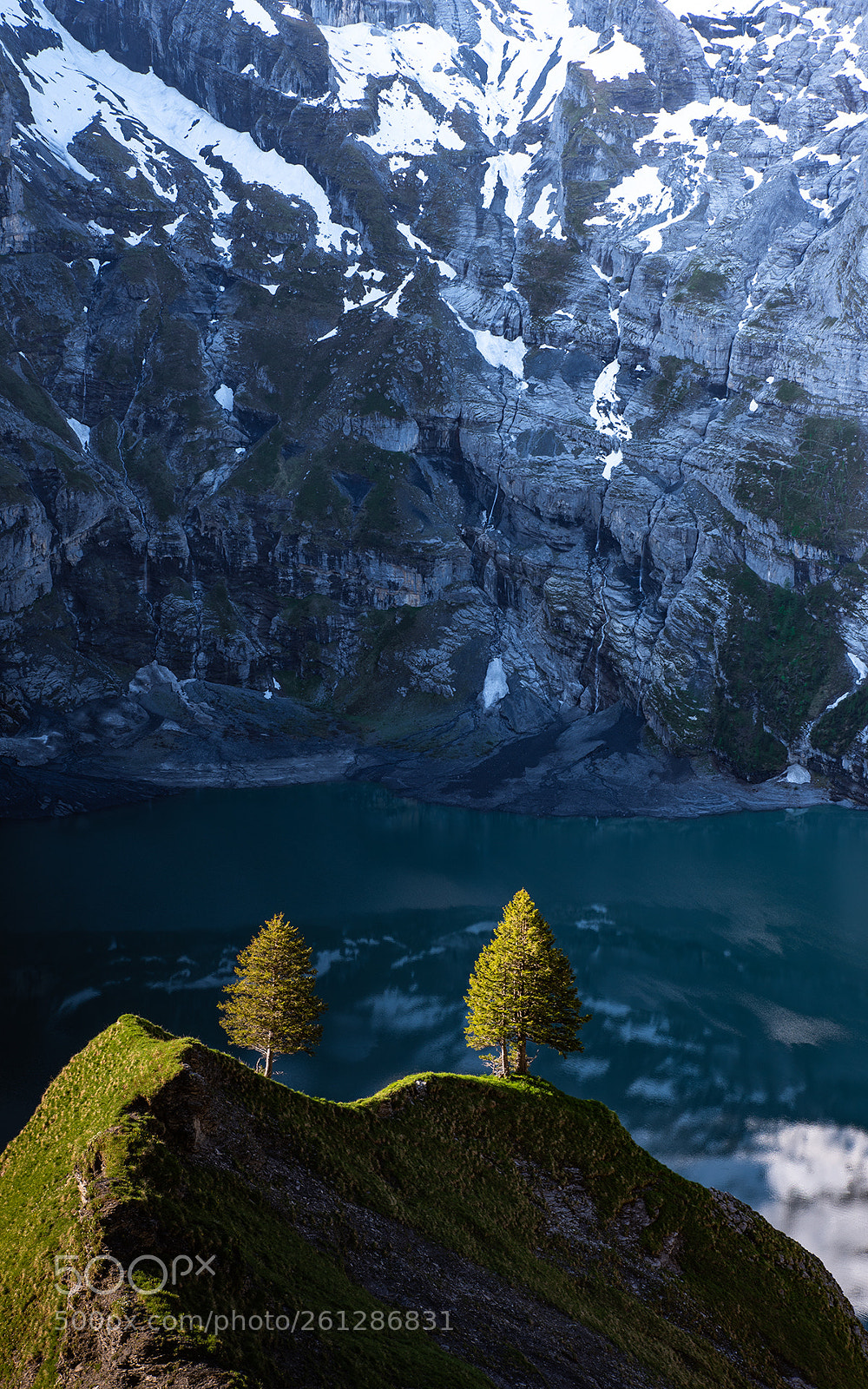 Nikon D750 sample photo. [two trees...] photography